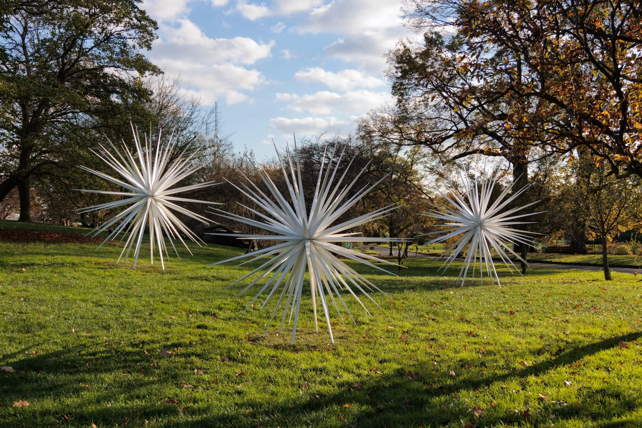 windseed botanic garden.webp