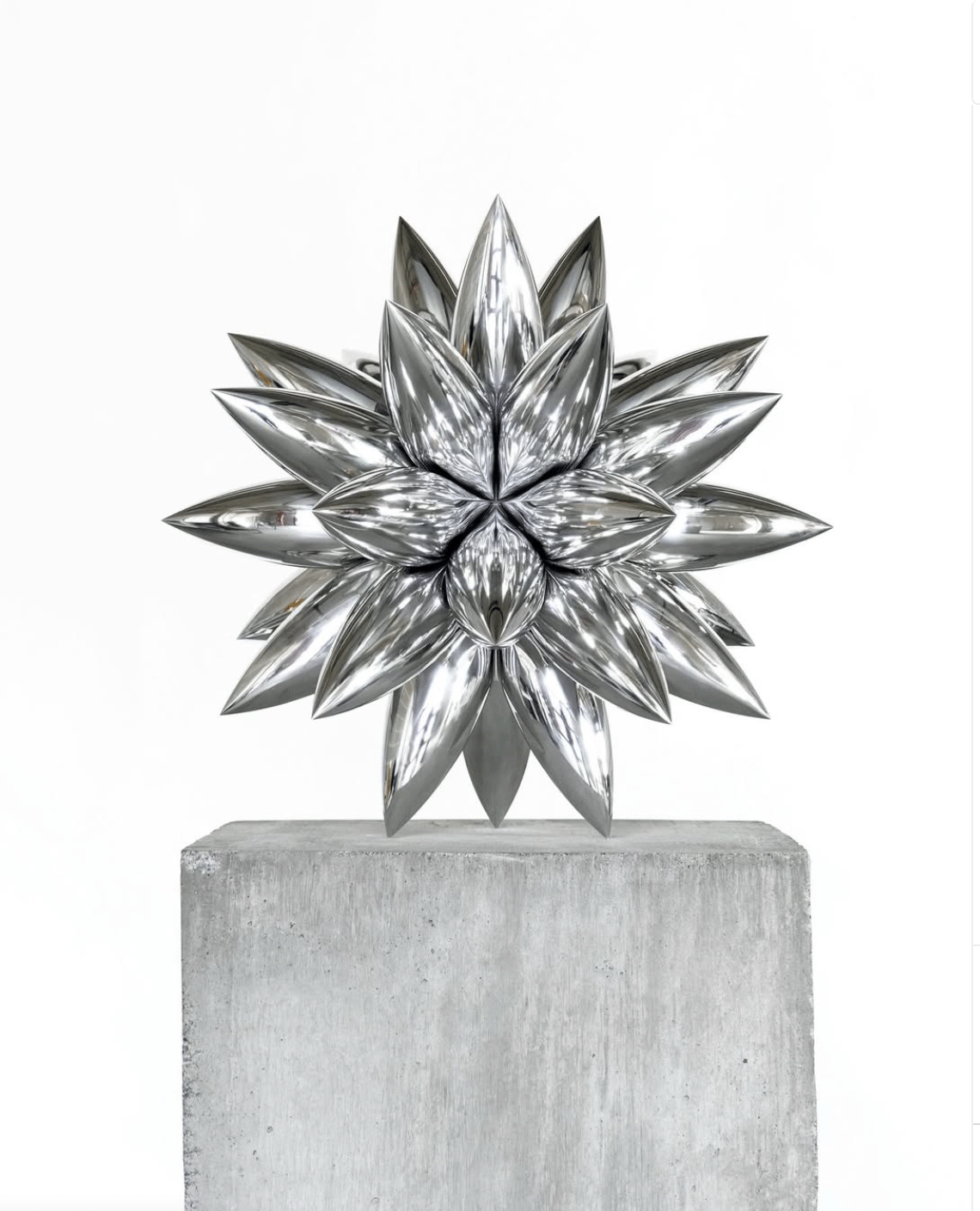 seed bloom small.png