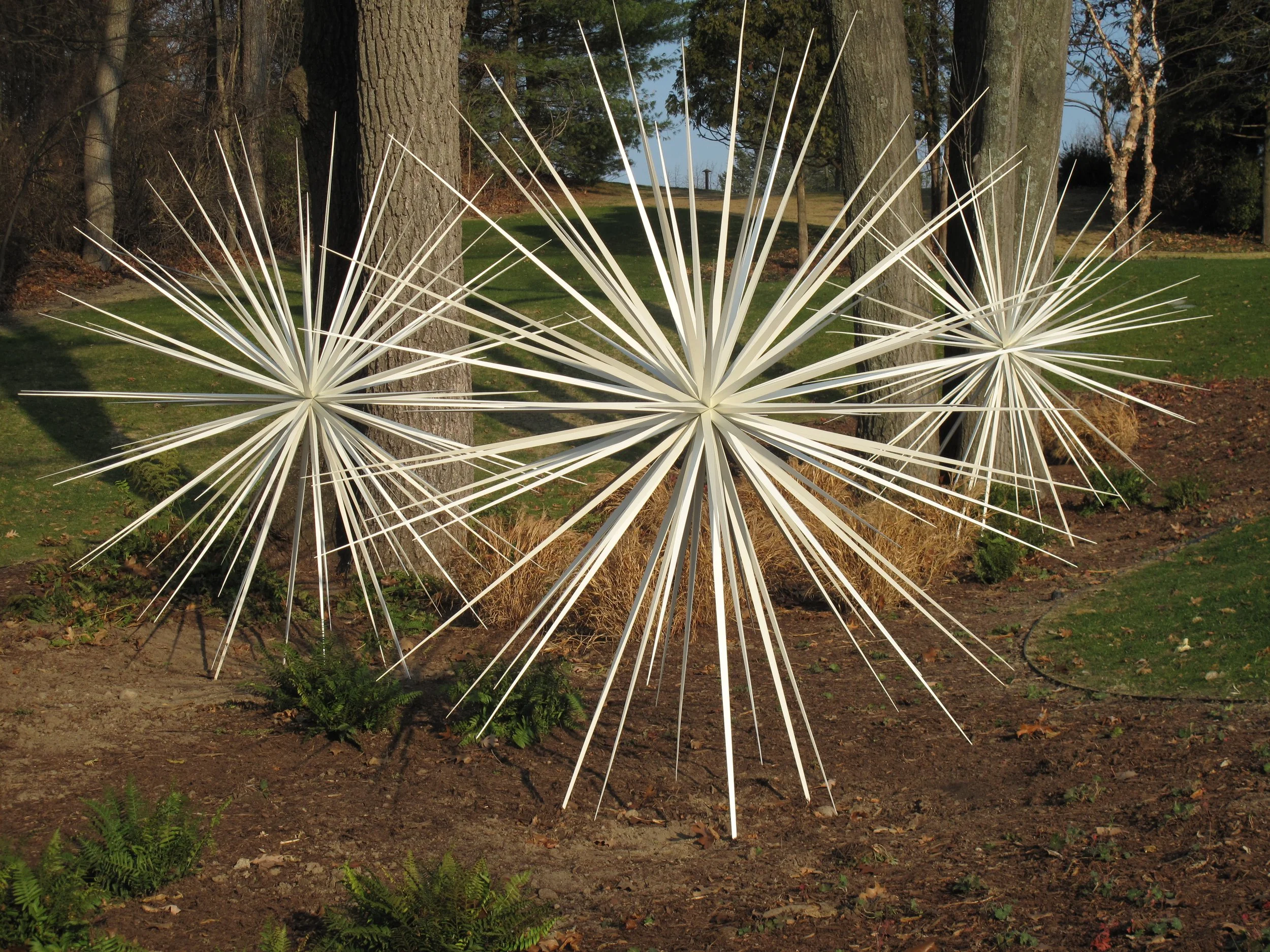 DeVois(5)-Windseed_96_2010.JPG