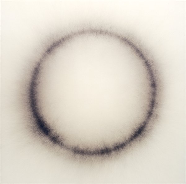 Carbon on Panel S3-03