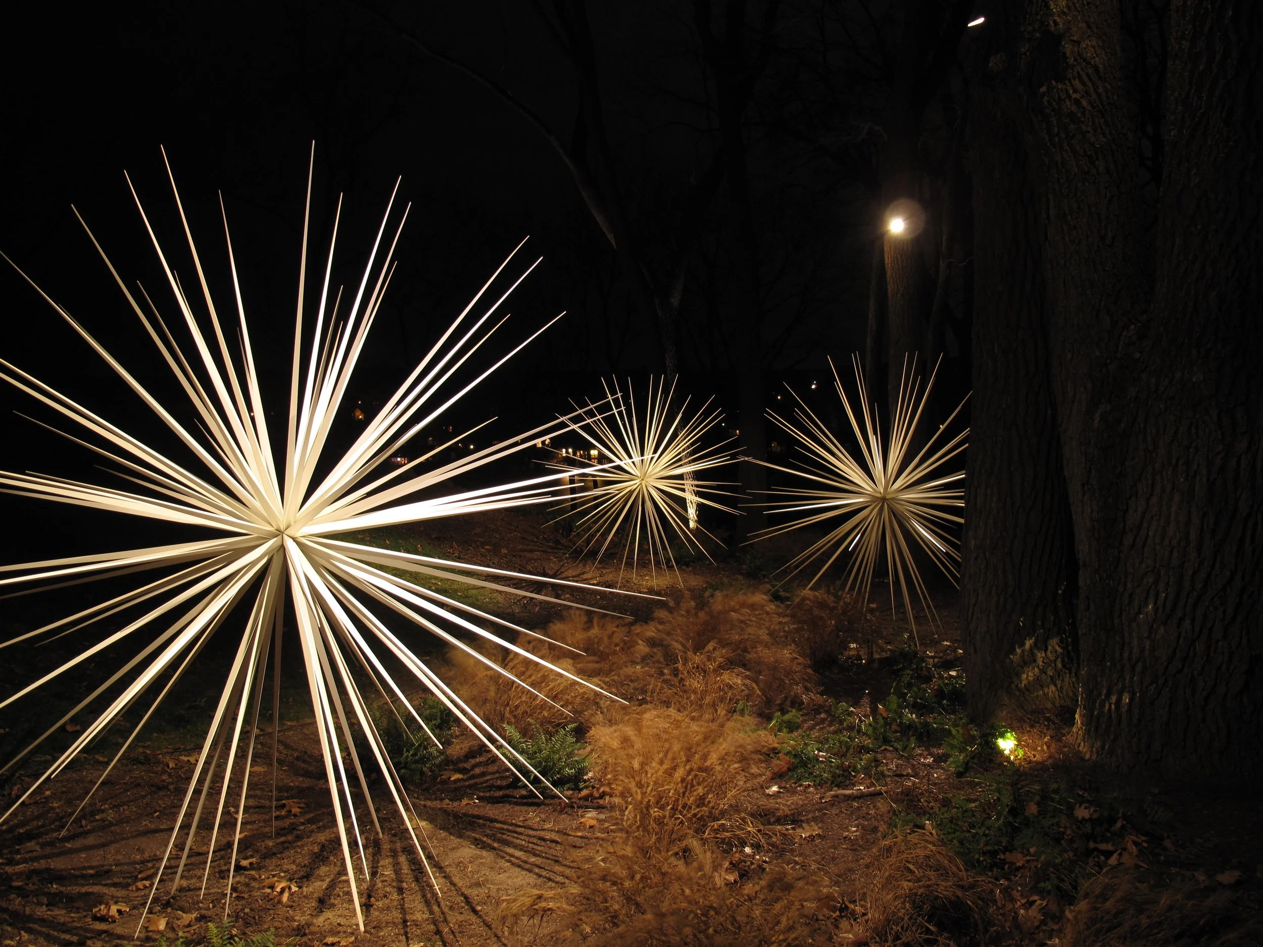 DeVois(2)-Windseed_96_2010.JPG
