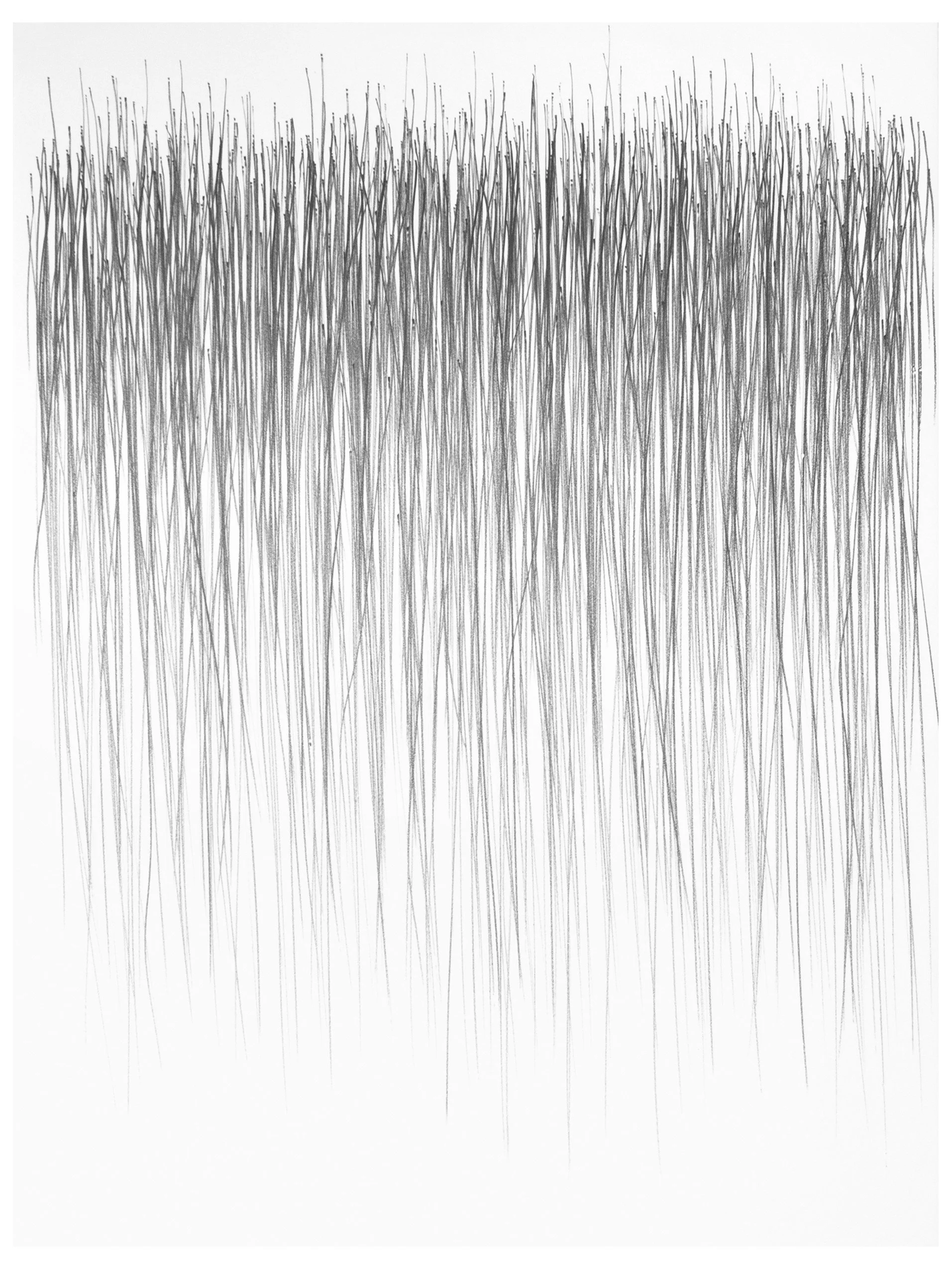 Pencil on Panel NO.3