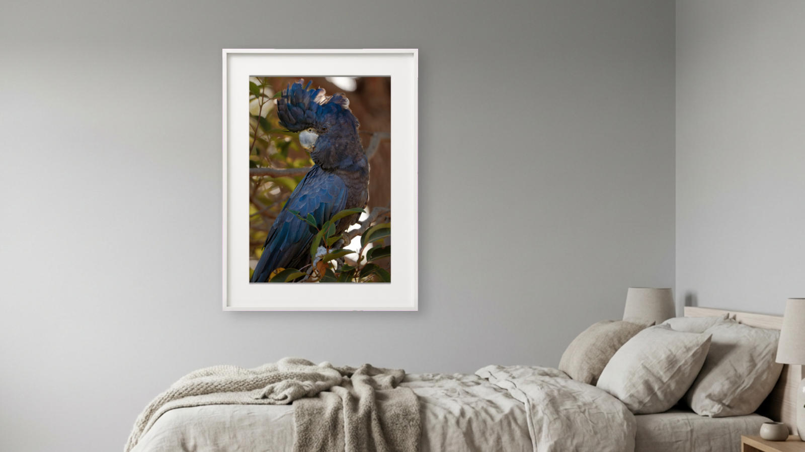 090526_pictureframegenerator_mockup (9).png