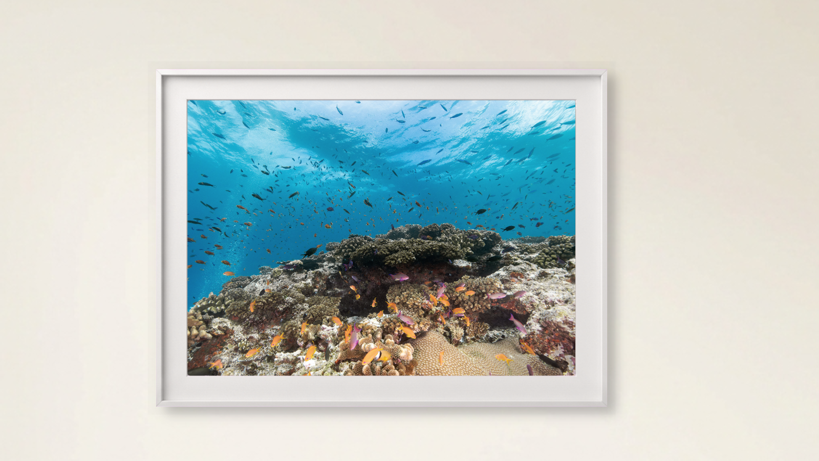 080526_pictureframegenerator_mockup.png
