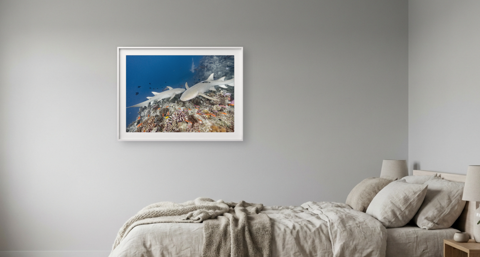080526_pictureframegenerator_mockup (13).png