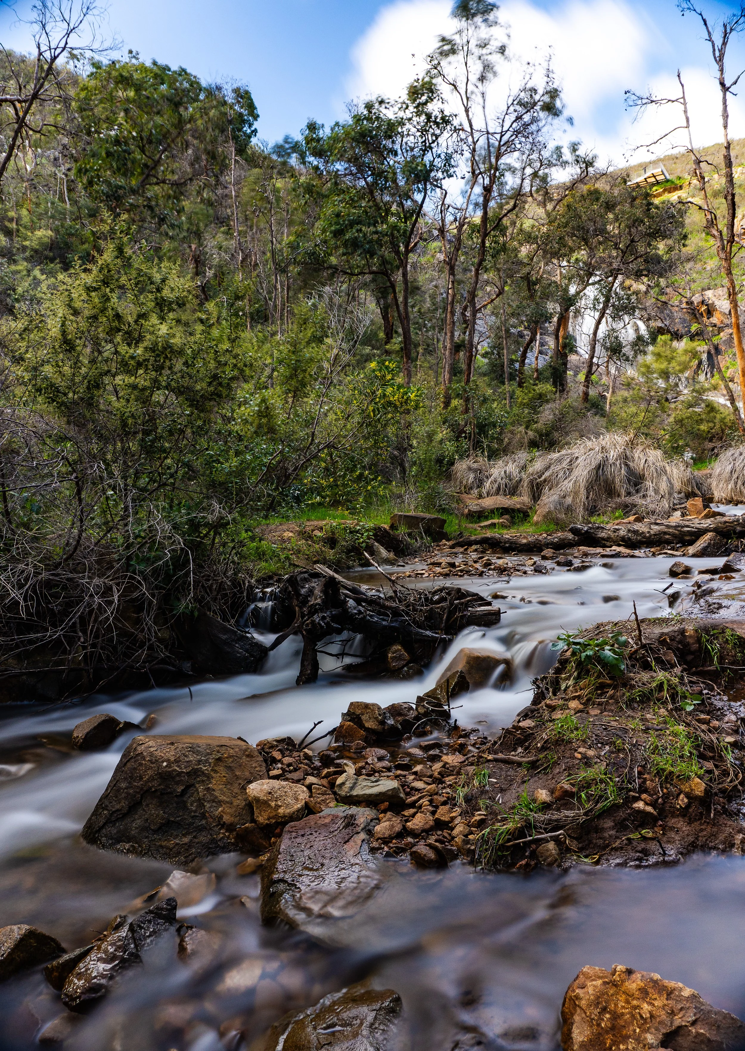 A flowing stream in a forested area with rocks and trees, some with sparse foliage, under a partly cloudy sky.