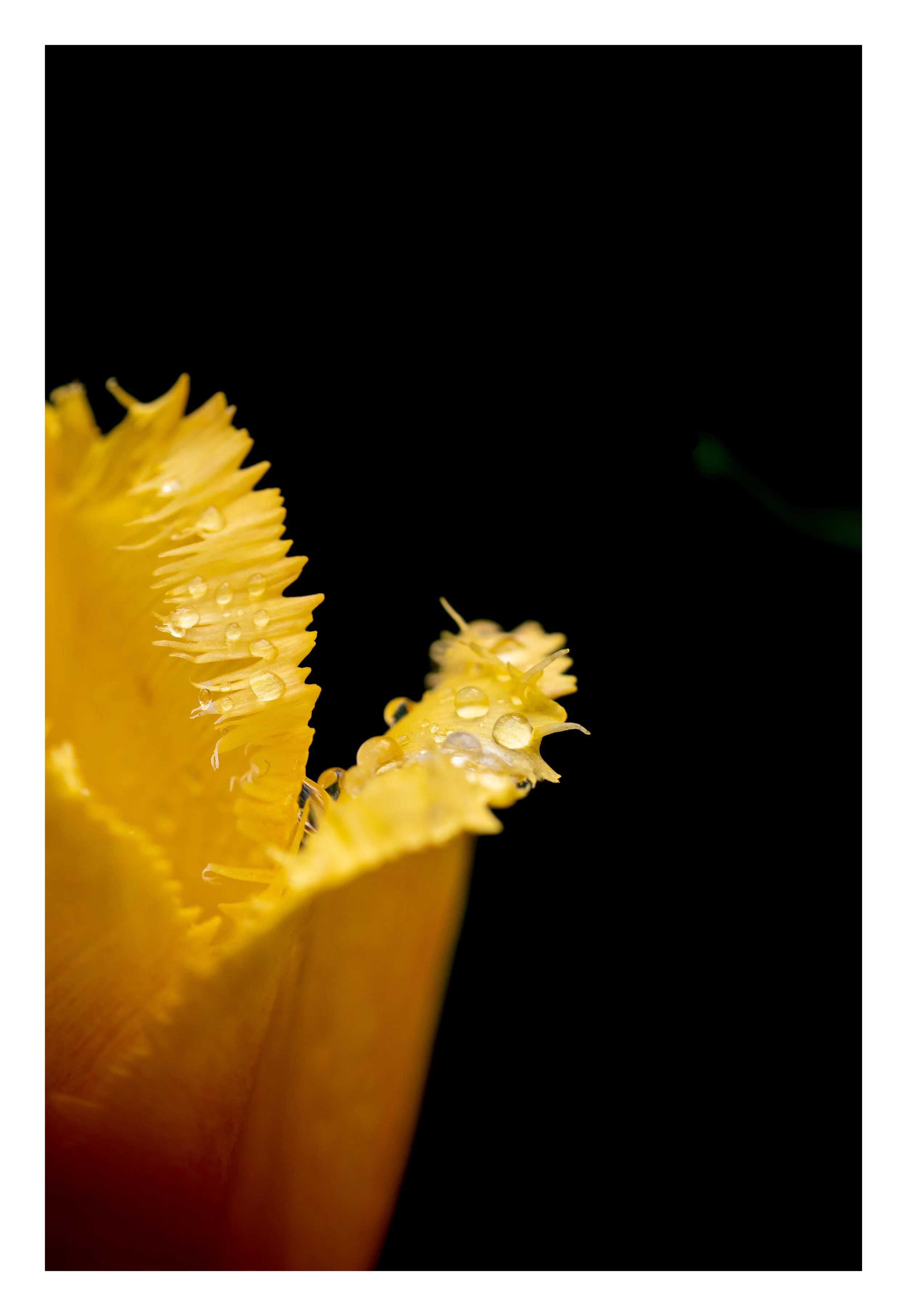 Bright amound darkness-1_bordered.jpg