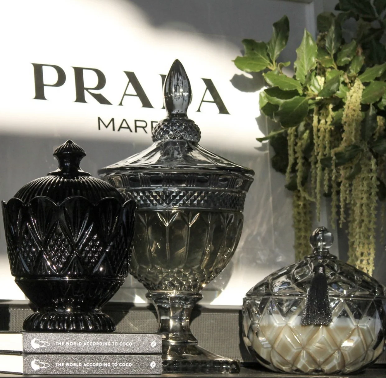 Gatsby Gm Stella GM Dev BLK..jpg