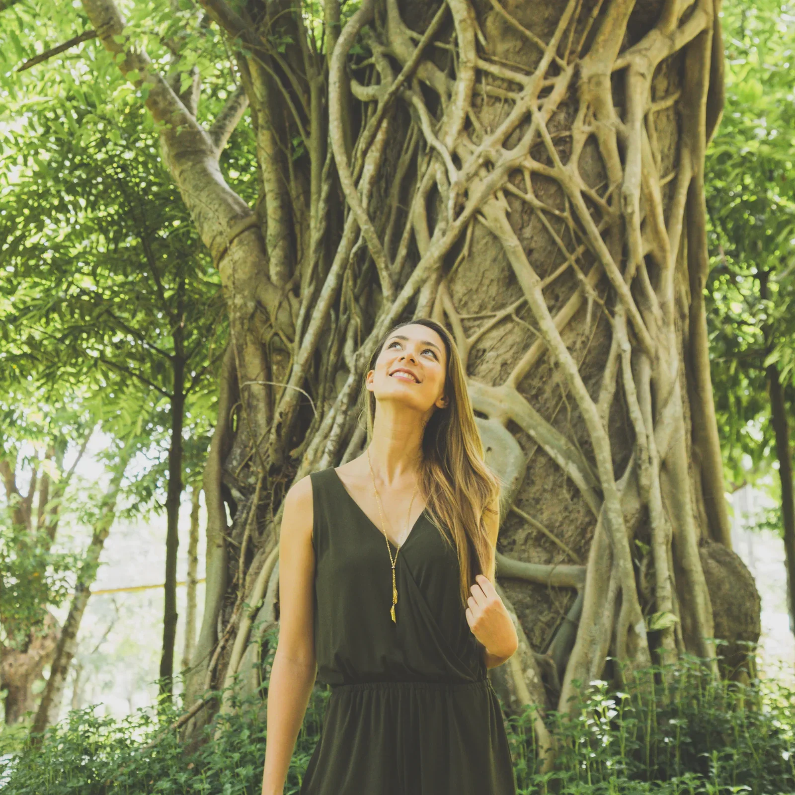 wrapped in gold model 1.webp