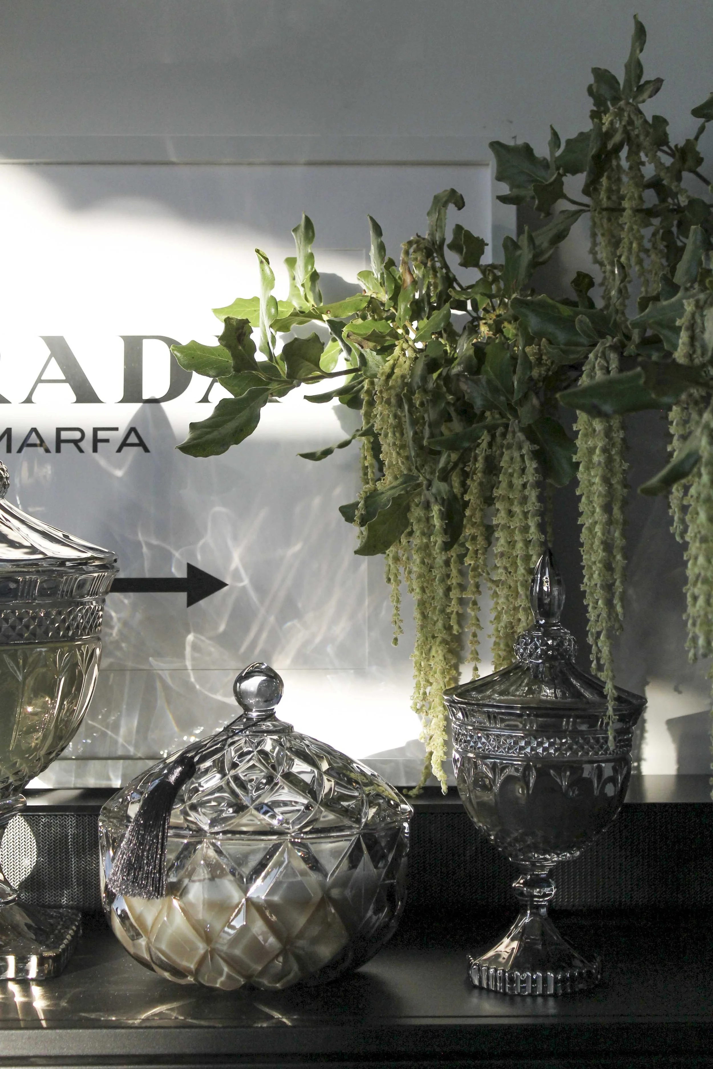 Large stella GM .JPG