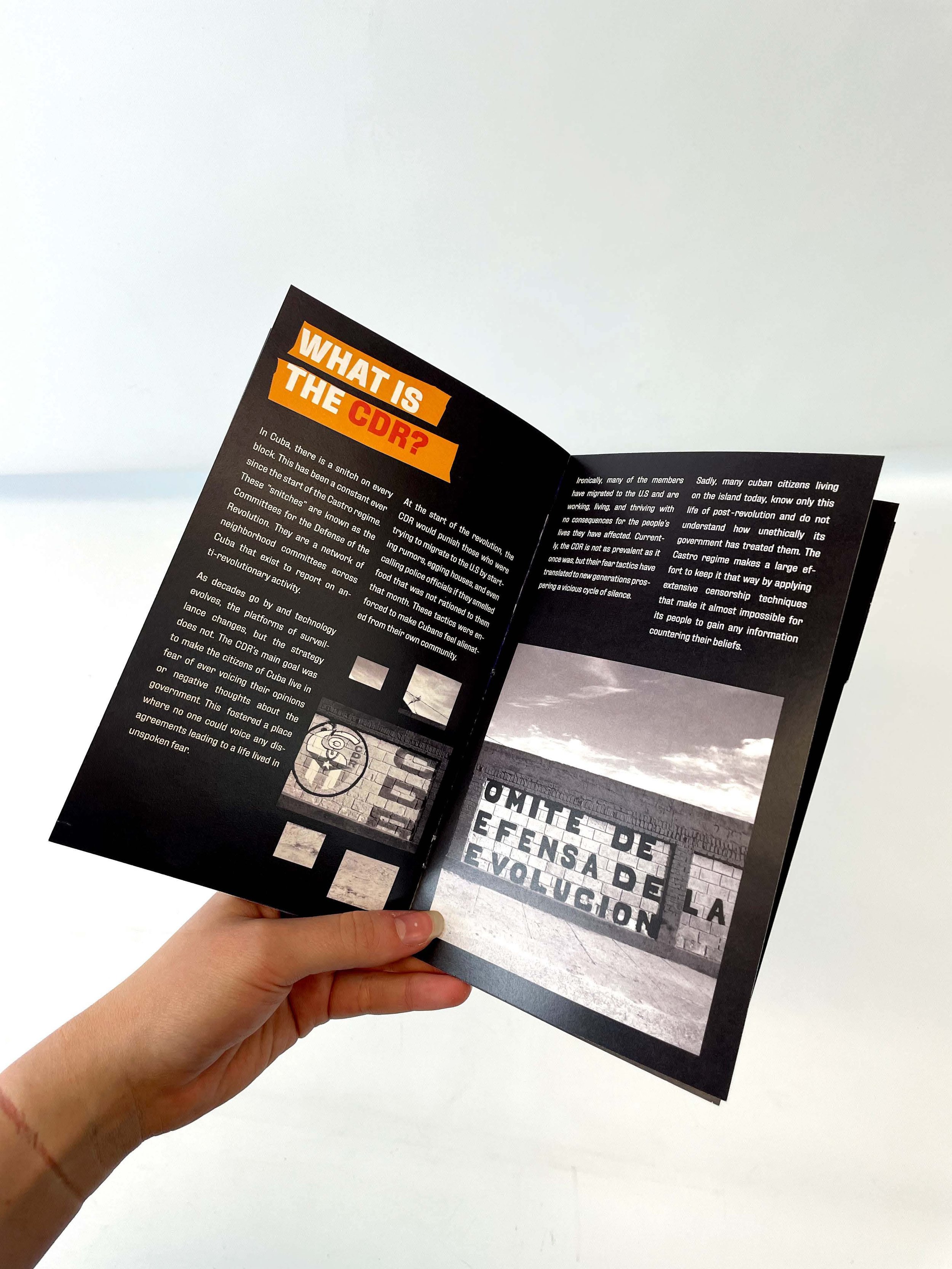 GRDS400_Casem_Proj1_W22_Chris-Bartoldus_Gaby-Menache_Heidi-Nichols_Final-Presentation (1)_Page_41.jpg