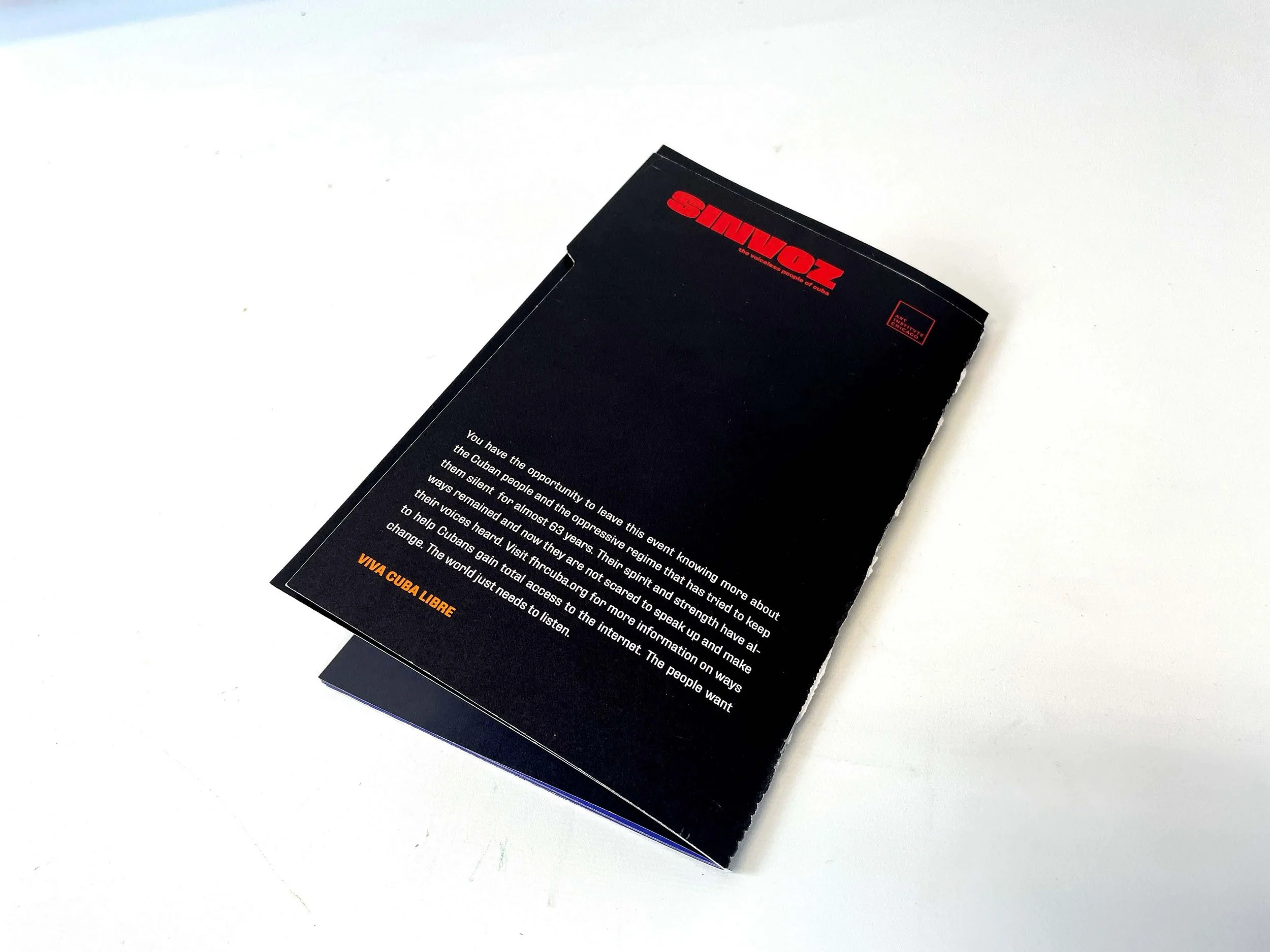 GRDS400_Casem_Proj1_W22_Chris-Bartoldus_Gaby-Menache_Heidi-Nichols_Final-Presentation (1)_Page_45.jpg