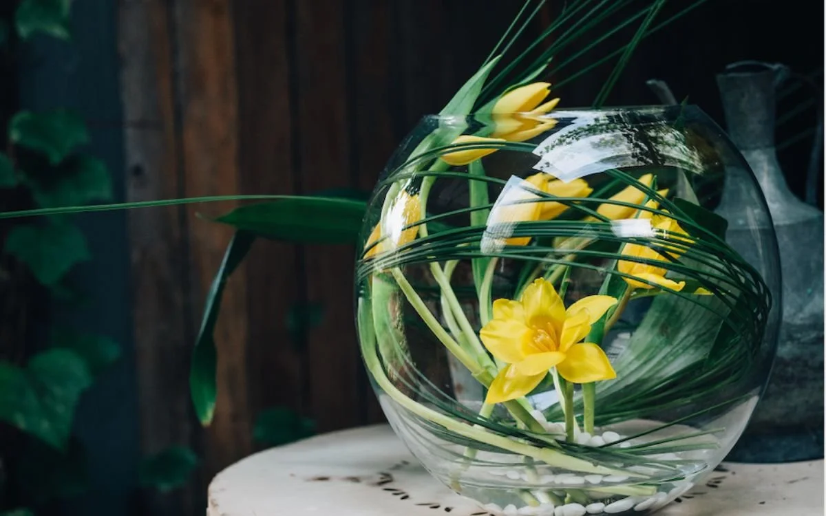 Tulip Terrarium