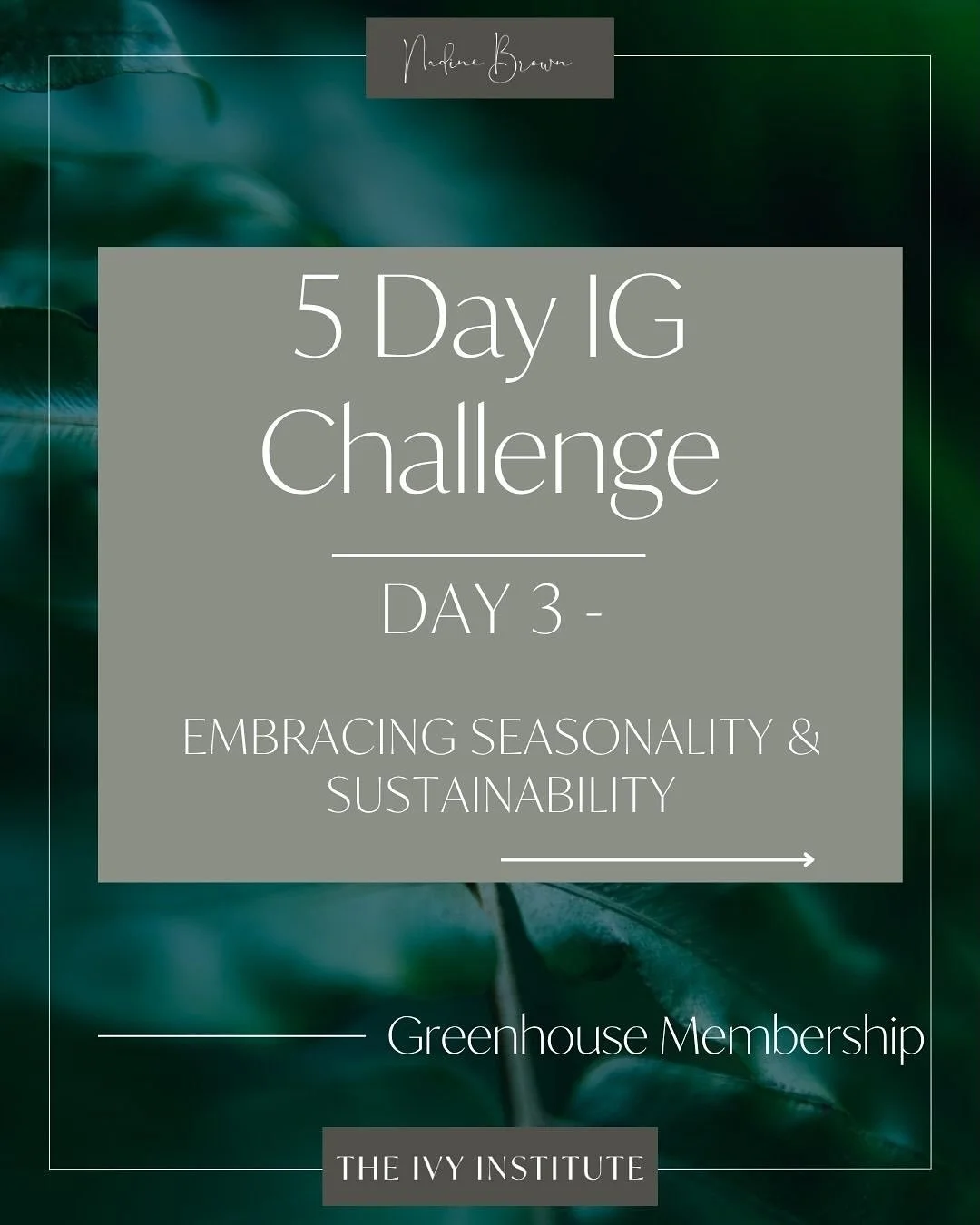 Have you been following along on our IG CHALLENGE? 
Well today is an important one ( see my stories ) 

🌿Becoming a more sustainable designer and business owner can feel overwhelming&mdash;where do you even begin?

For me, one of the simplest yet mo