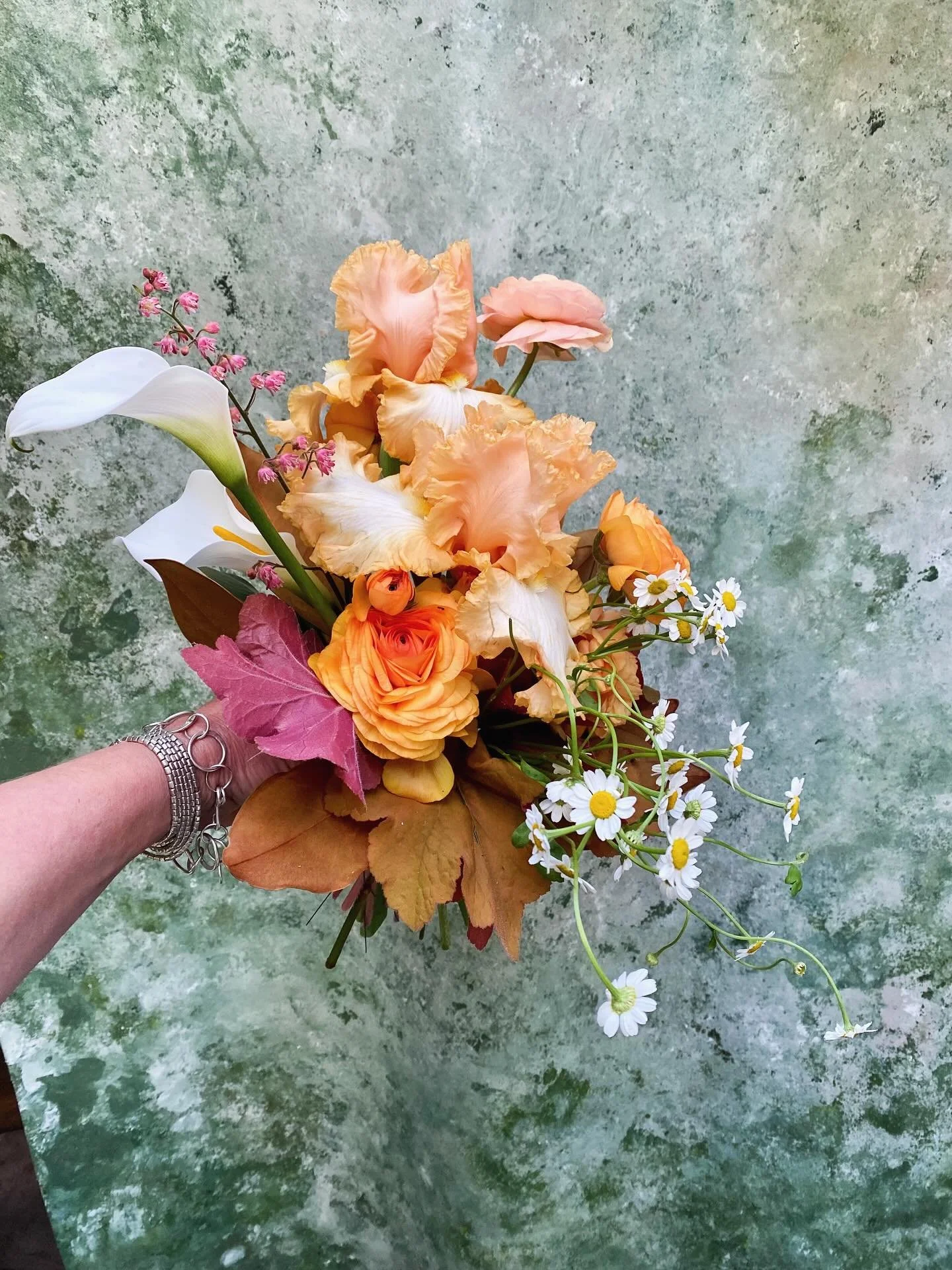Just because it&rsquo;s been too long between flower appreciation. 🧡 

Usually one of my least favourite colour palette&rsquo;s but when it comes to my bearded ladies that all changes hehehe. 

So while I had a few other interesting ingredients in t