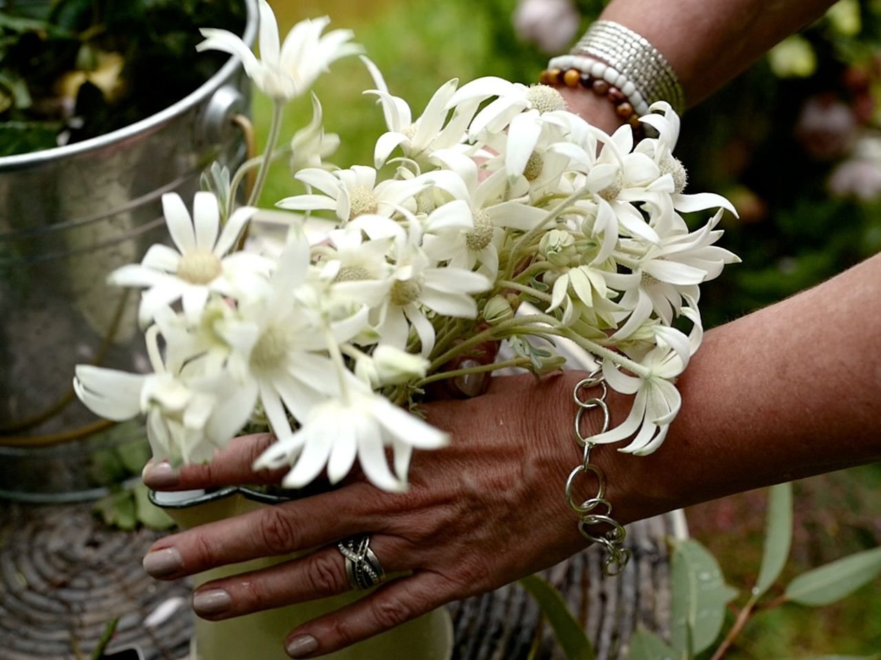 Hands arranging white flannel flowers