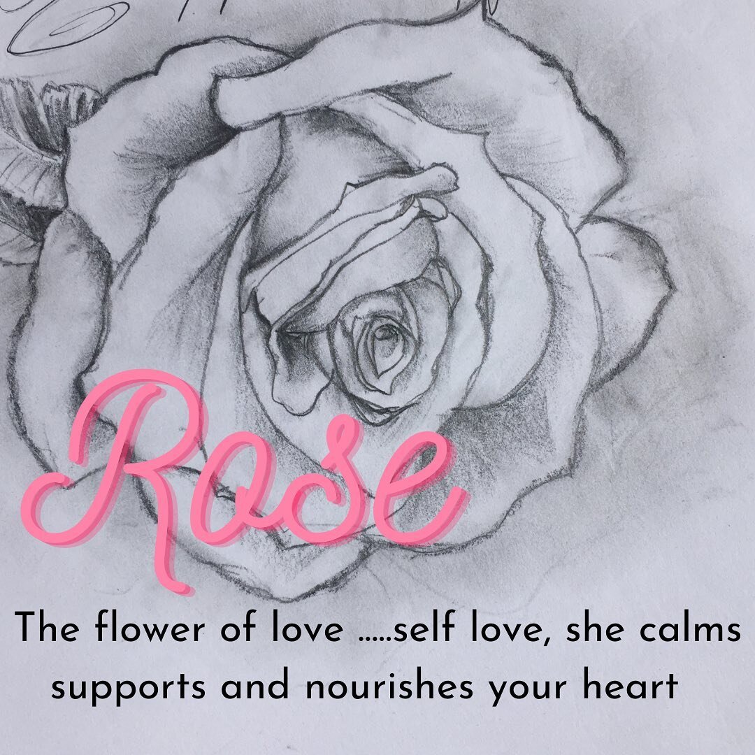 Ahhhh Rose she is such a beautiful flower and such a wonderful essential oil for your heart 💗 
💗calming and nourishing 💗this will be one of the plants  we will be using in my up coming flower power workshop 💗 
#calmyournervoussystem #essentialoil