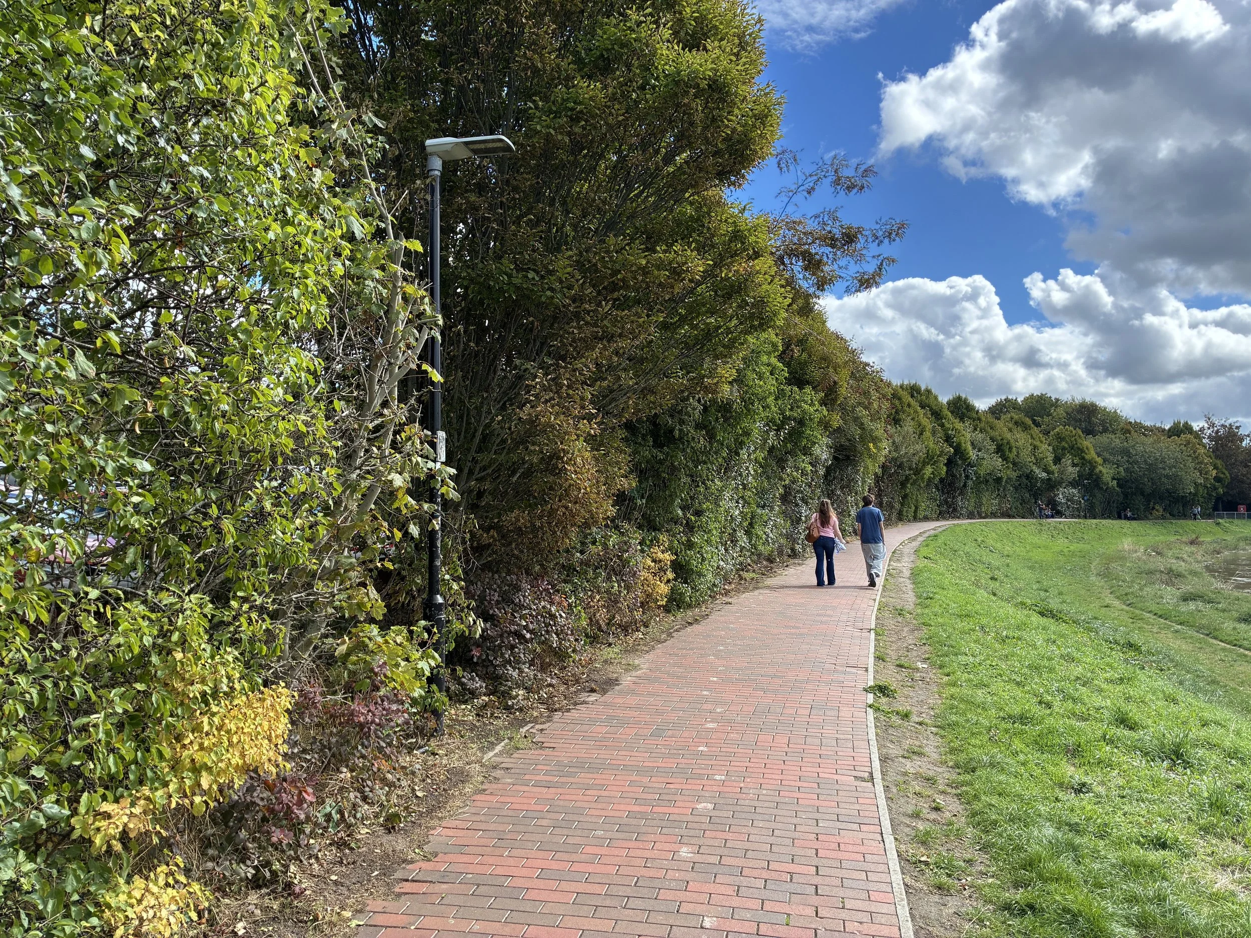 Sept 2026 Newsletter