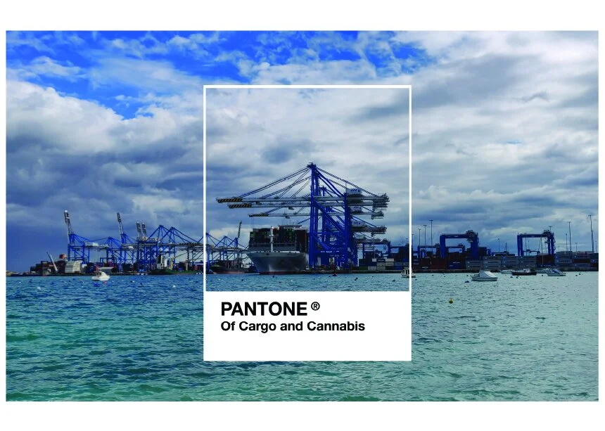 Artboard 16 copy 2-100.jpg