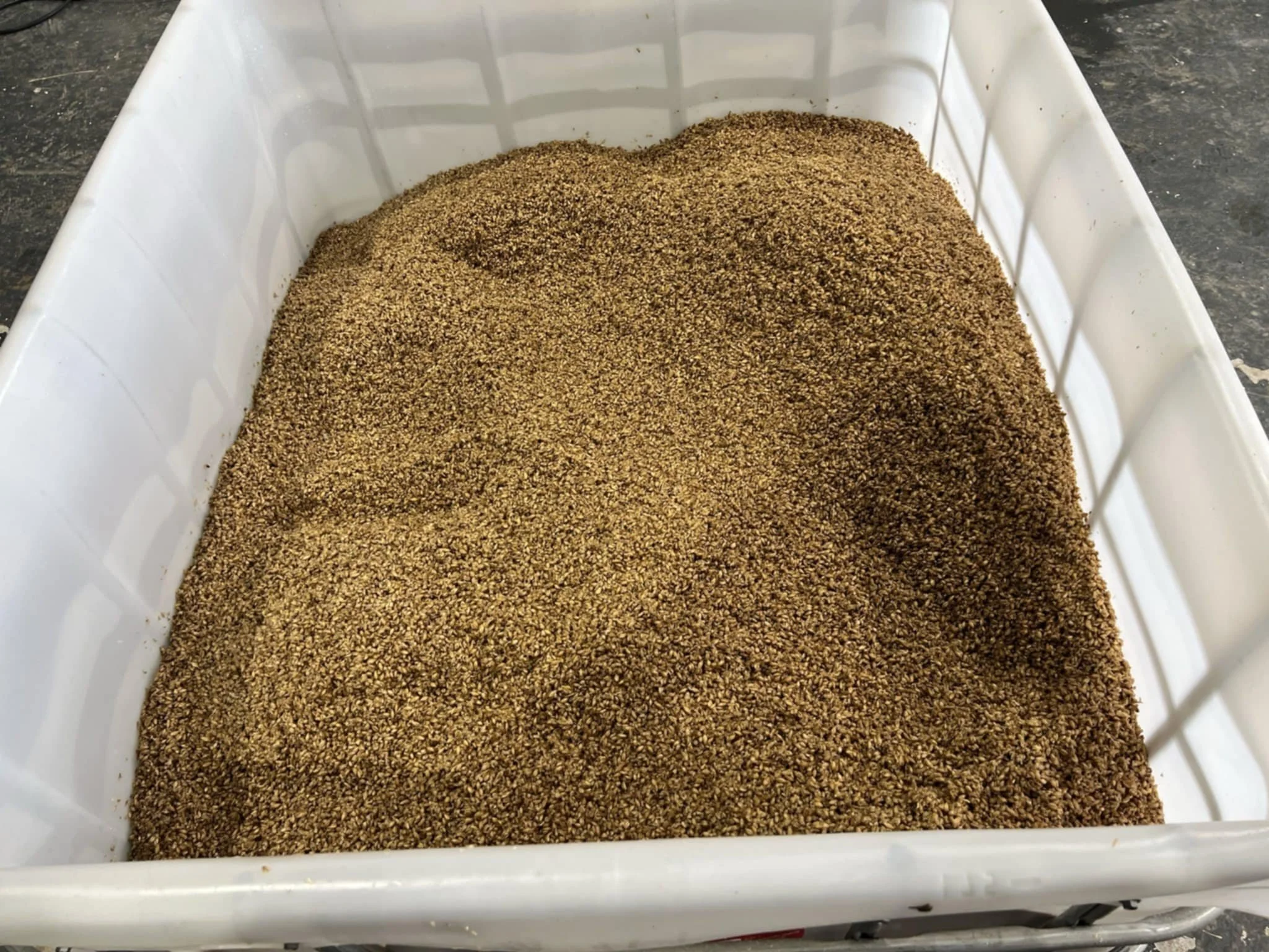 A white plastic container filled with small, coarse coffee grounds.