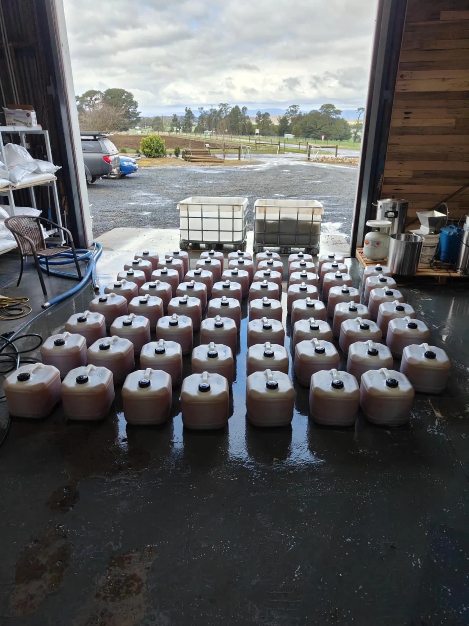 Numerous white plastic containers with black caps arranged on a wet concrete floor inside a barn or garage, with an open door revealing a gravel parking lot and cloudy sky outside.