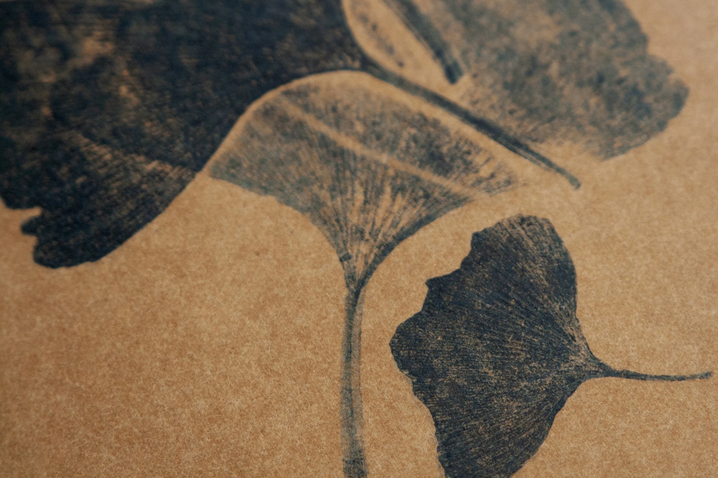 IMG_6585-Récupéré copie.jpg