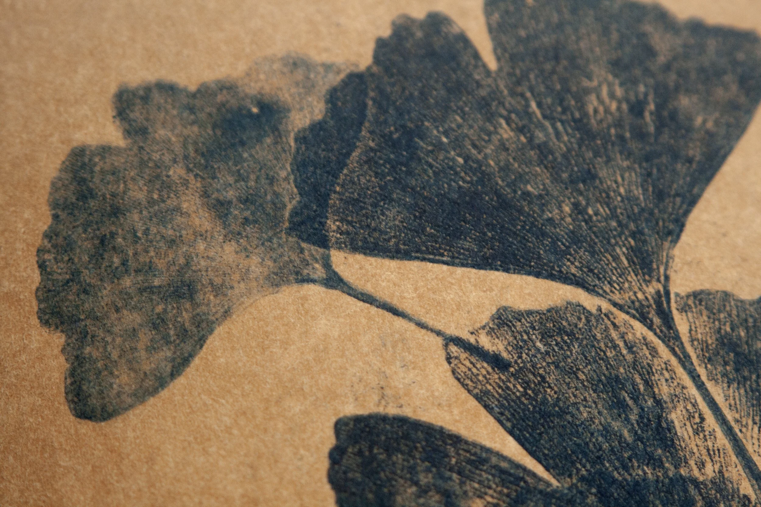 IMG_6583-Récupéré copie.jpg