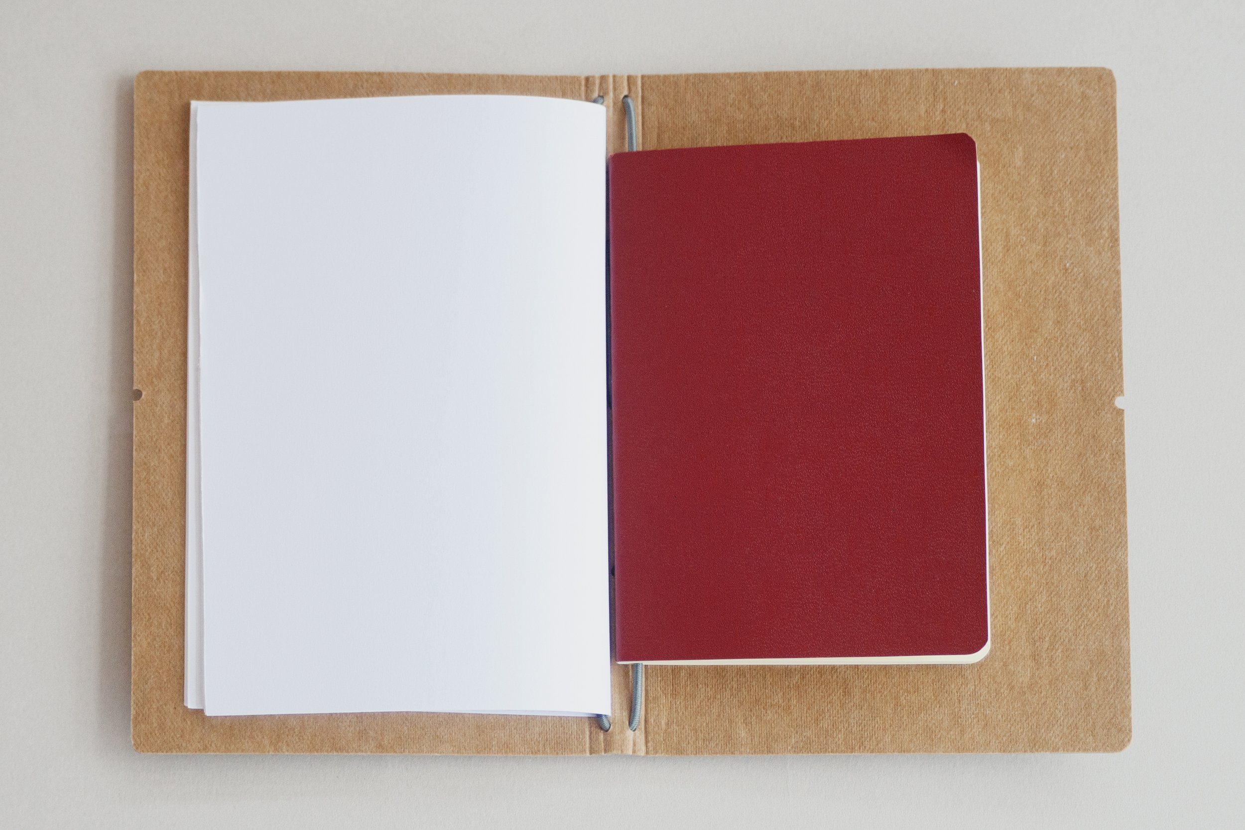 IMG_5260_sRGB.jpg (copie) (copie)