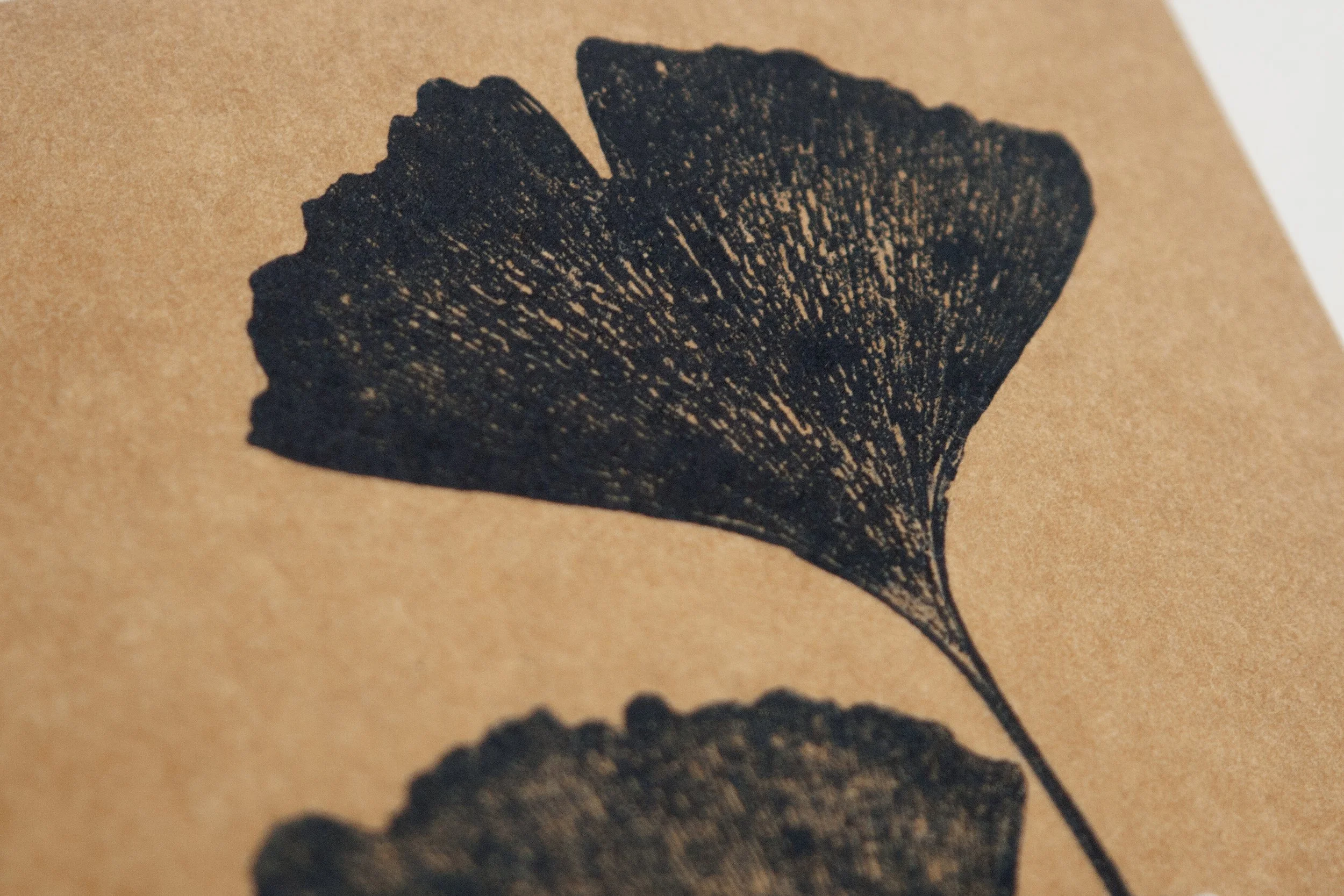 IMG_6570-Récupéré copie.jpg