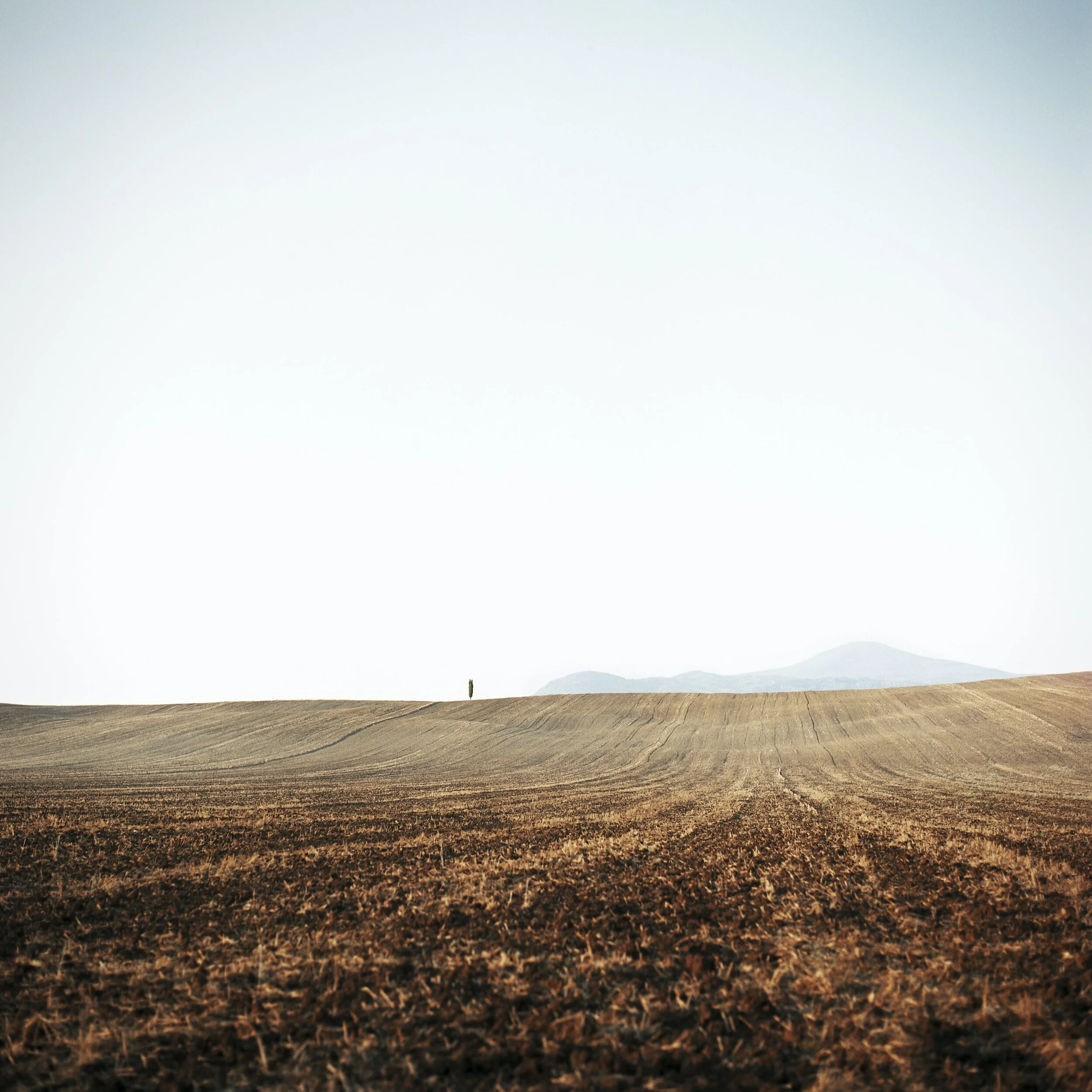 Естественный газон. Empty field. Самое пустое поле. Empty field. Empty field.