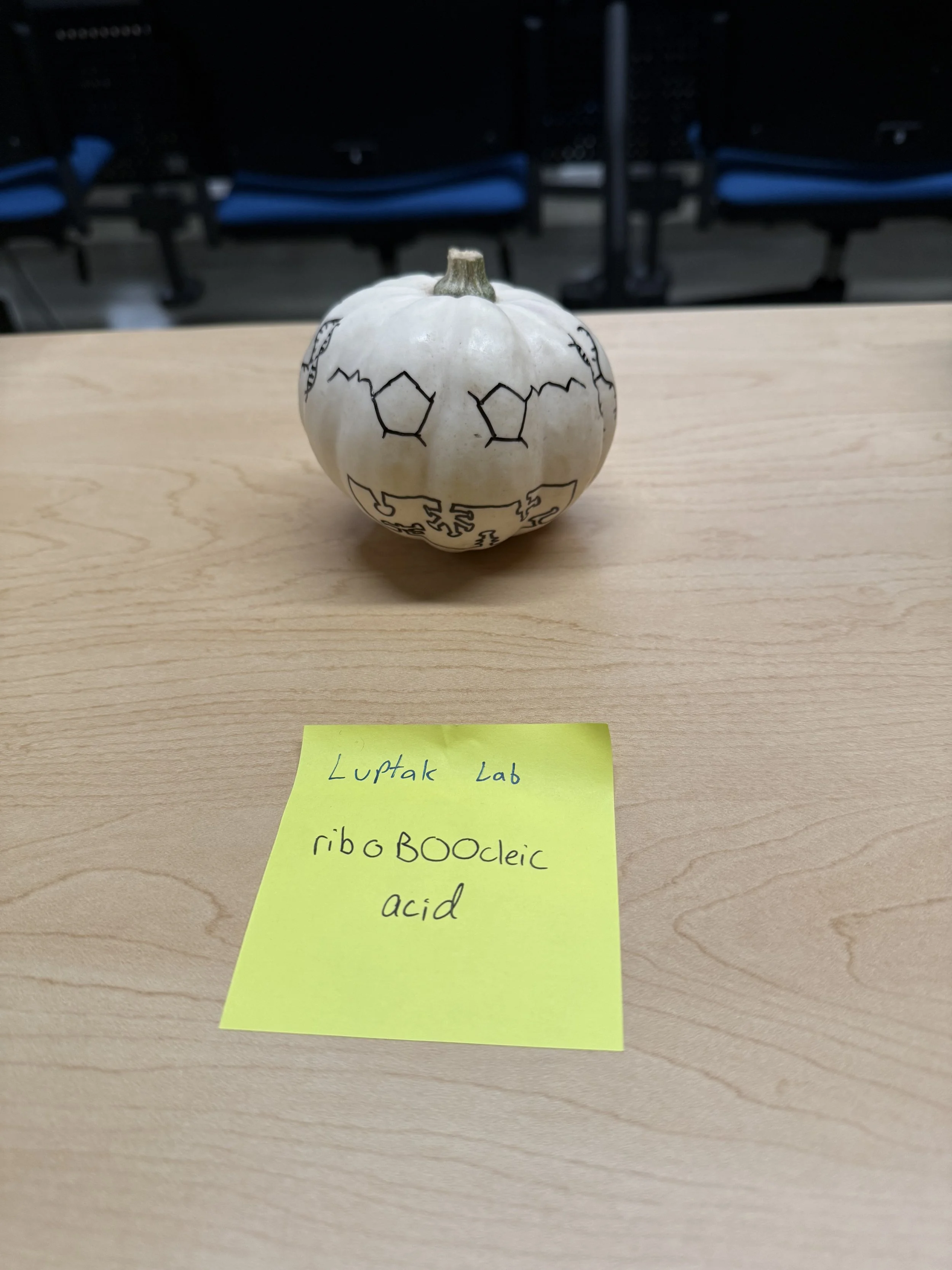 The Lupták Lab's entry into our annual pumpkin decorating contest!  

November 7, 2025 
Irvine, CA  
