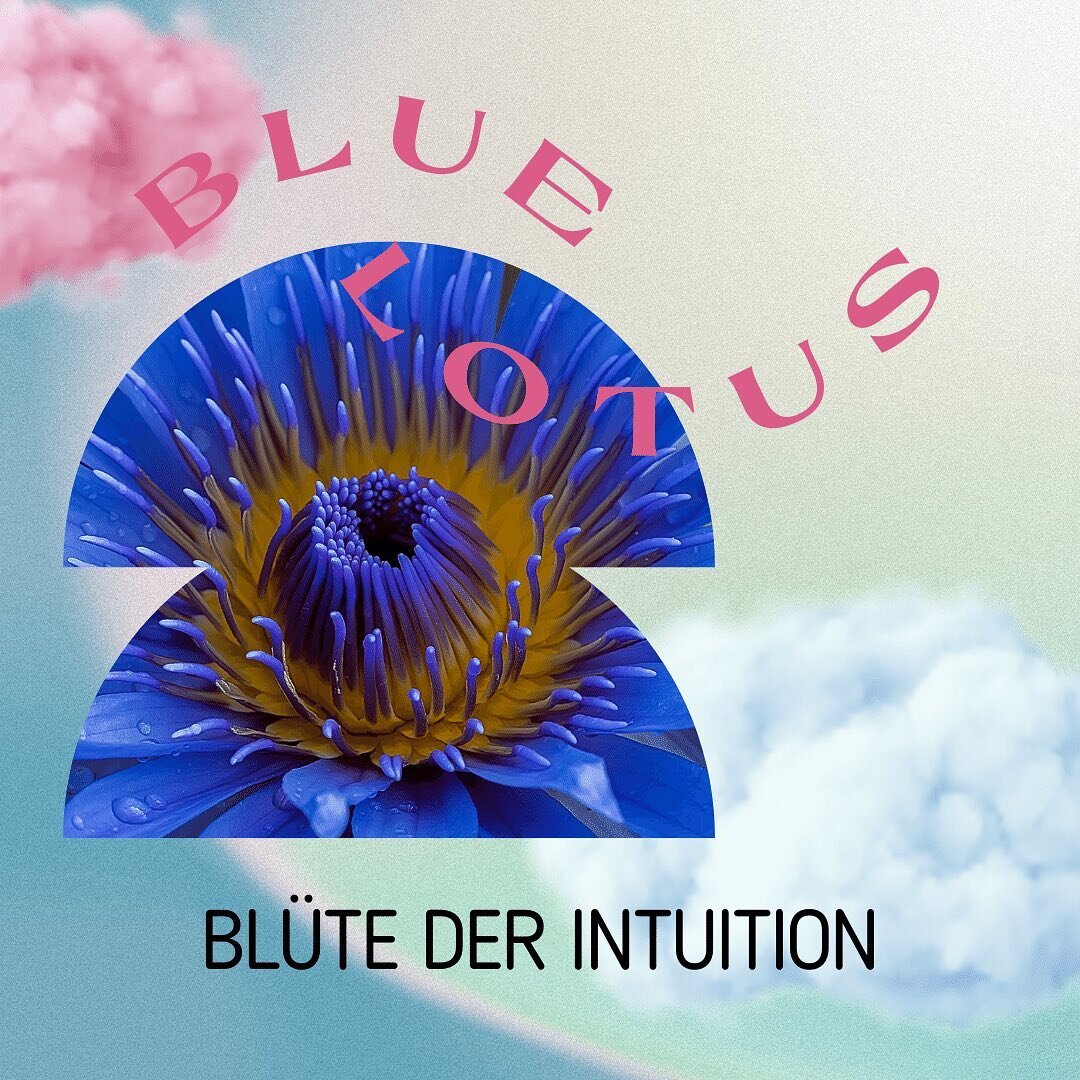 Blauer Lotus wird als &bdquo;Blume der Erleuchtung&ldquo; verehrt. 

Sie gilt als eine heilige Blume, die vor allem f&uuml;r ihre intuitionsf&ouml;rdernden &amp; beruhigenden Eigenschatfen bekannt ist.

Den alten &Auml;gyptern heilig, sind Darstellun