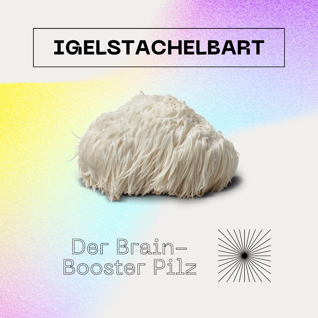 Im 21. Jahrhundert braucht unser Hirn &amp; unsere Nerven jede Unterst&uuml;tzung, die sie kriegen k&ouml;nnen.

Enter: Igelstachelbart. 

Ein aus nat&uuml;rlichen Ressourcen gewonnenes Nootropikum, dass die allgemeine mentale Leistungsf&auml;higkeit