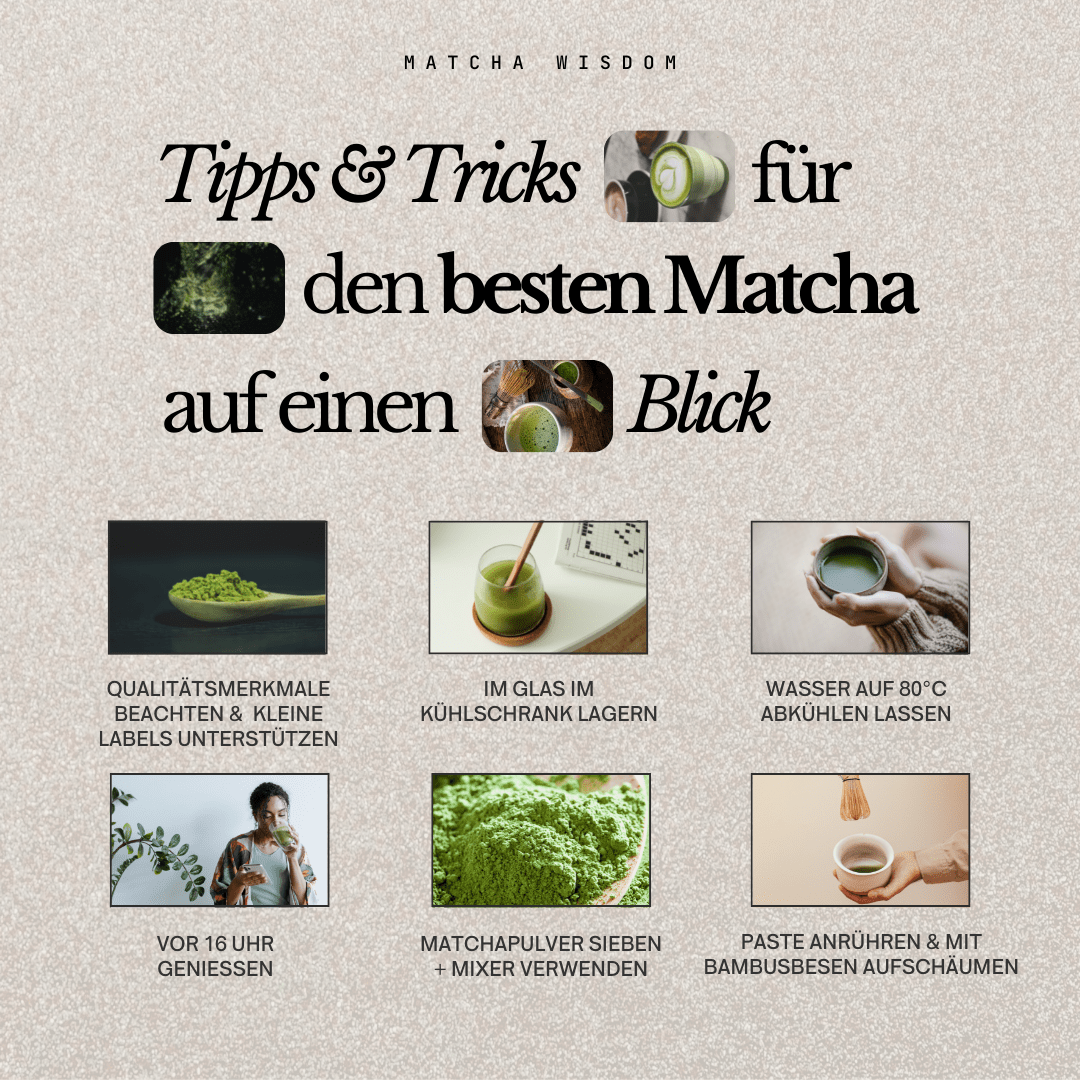Matcha Anleitung: 10 Do’s and Dont’s der Matcha Zubereitung — Matcha