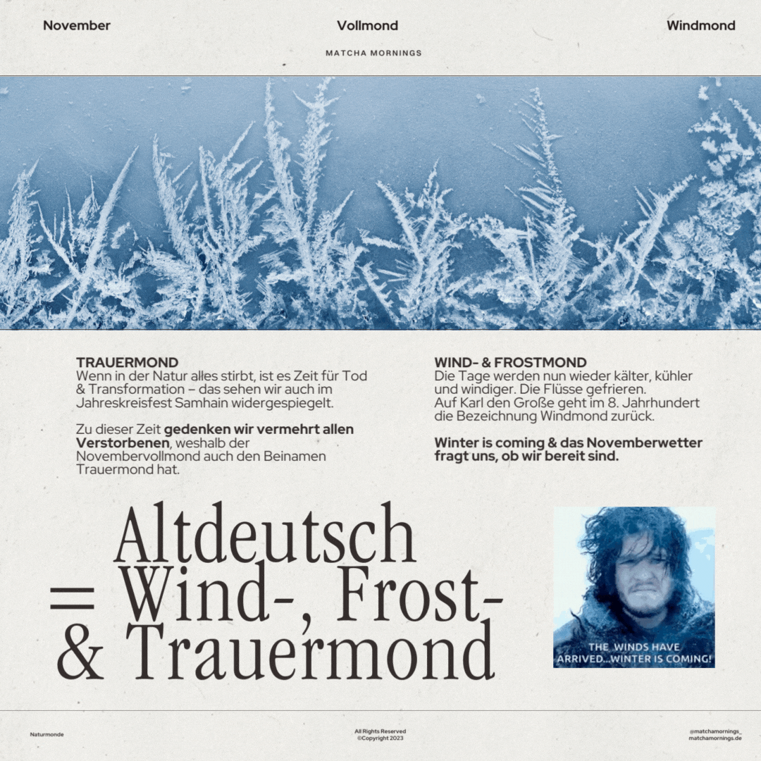 Nebel & Bibermond Bedeutung & Themen des NovemberVollmond — Matcha