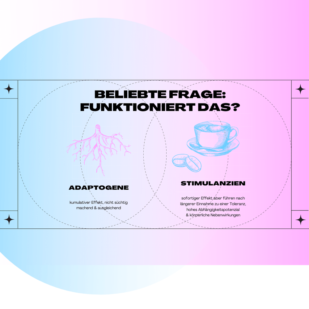 Unsere Adaptogenen Pflanzen – Adaptogene – QUOMZR