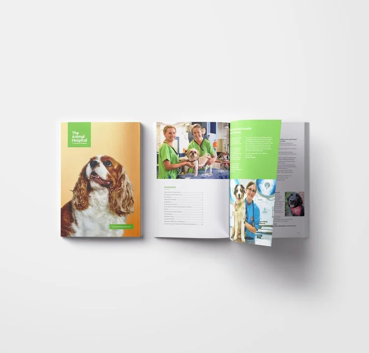VET-HOSPITAL-Magazine-Mockup-Presentation-vol9-copy.jpg