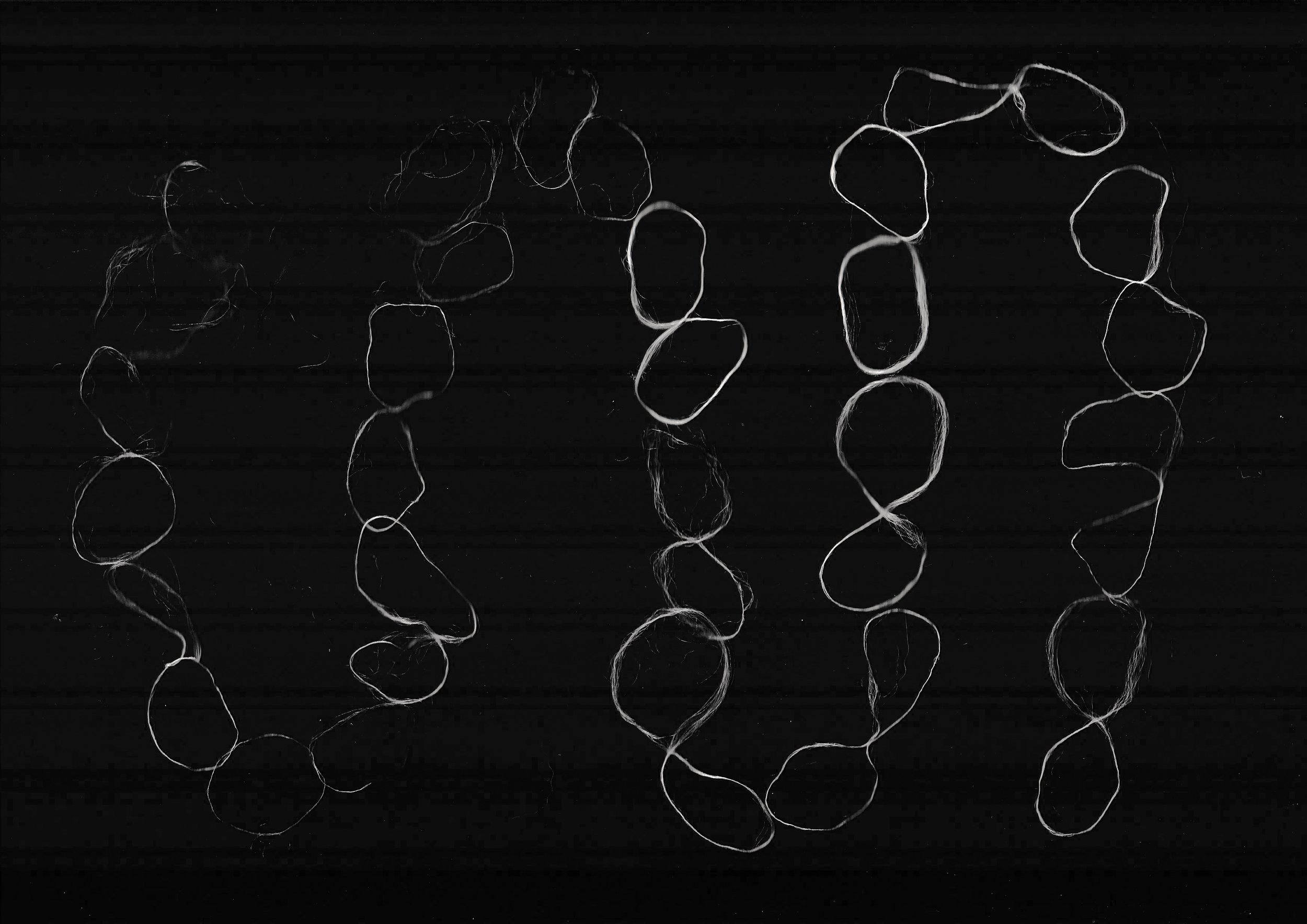 'A Silkworm of One's Own', 2025. Digital Scan.