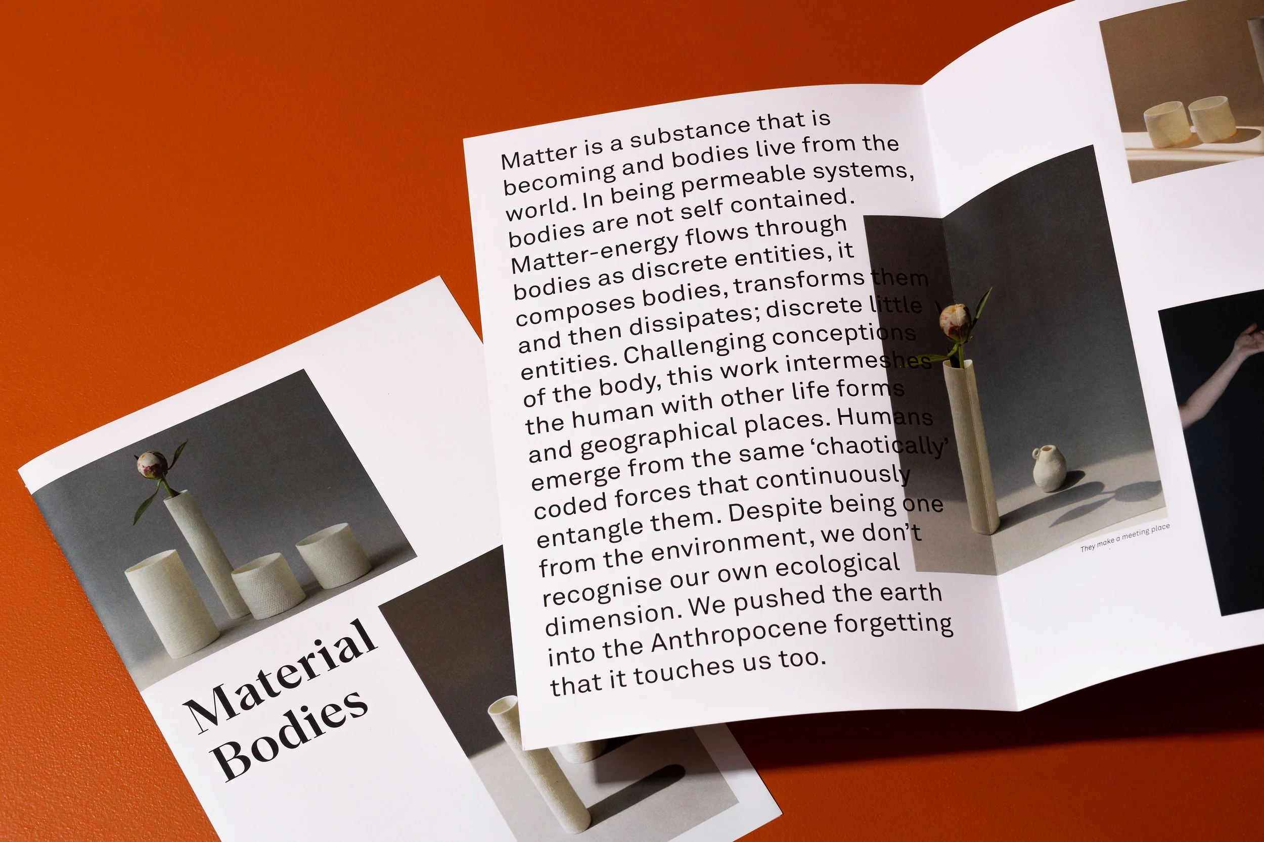 Material Bodies, exhibition catalogue, 2018. 297 x 210cm. Design by Zag. Photography by Susan Castillo.