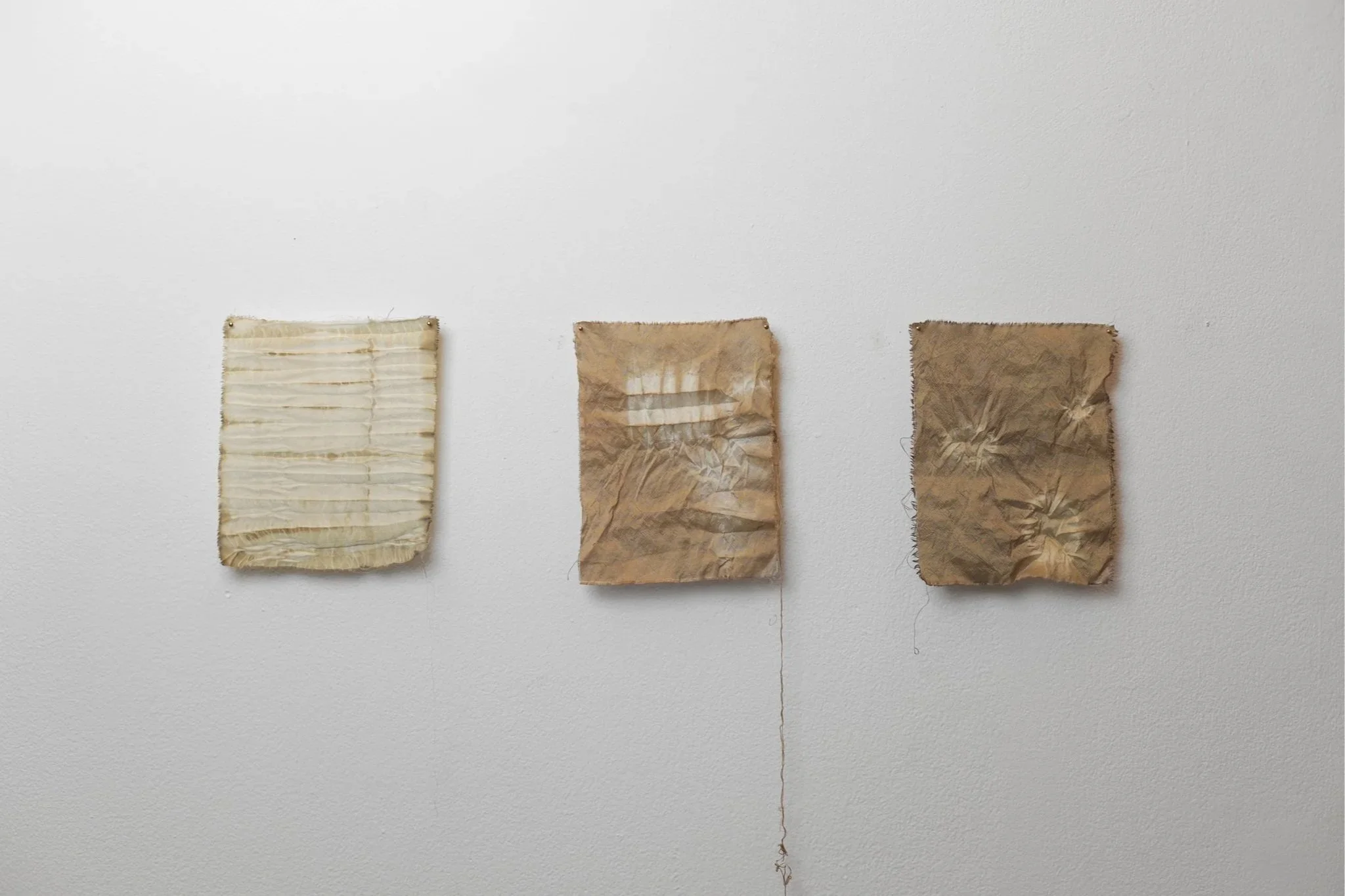 'Thin Skin, Thin Places', 2025. Silk, rosemary pigment, brass. Dimensions variable. Presented as part of 'Surfaced', Beaconsfield Gallery, London. Photography: Joseph Hall.