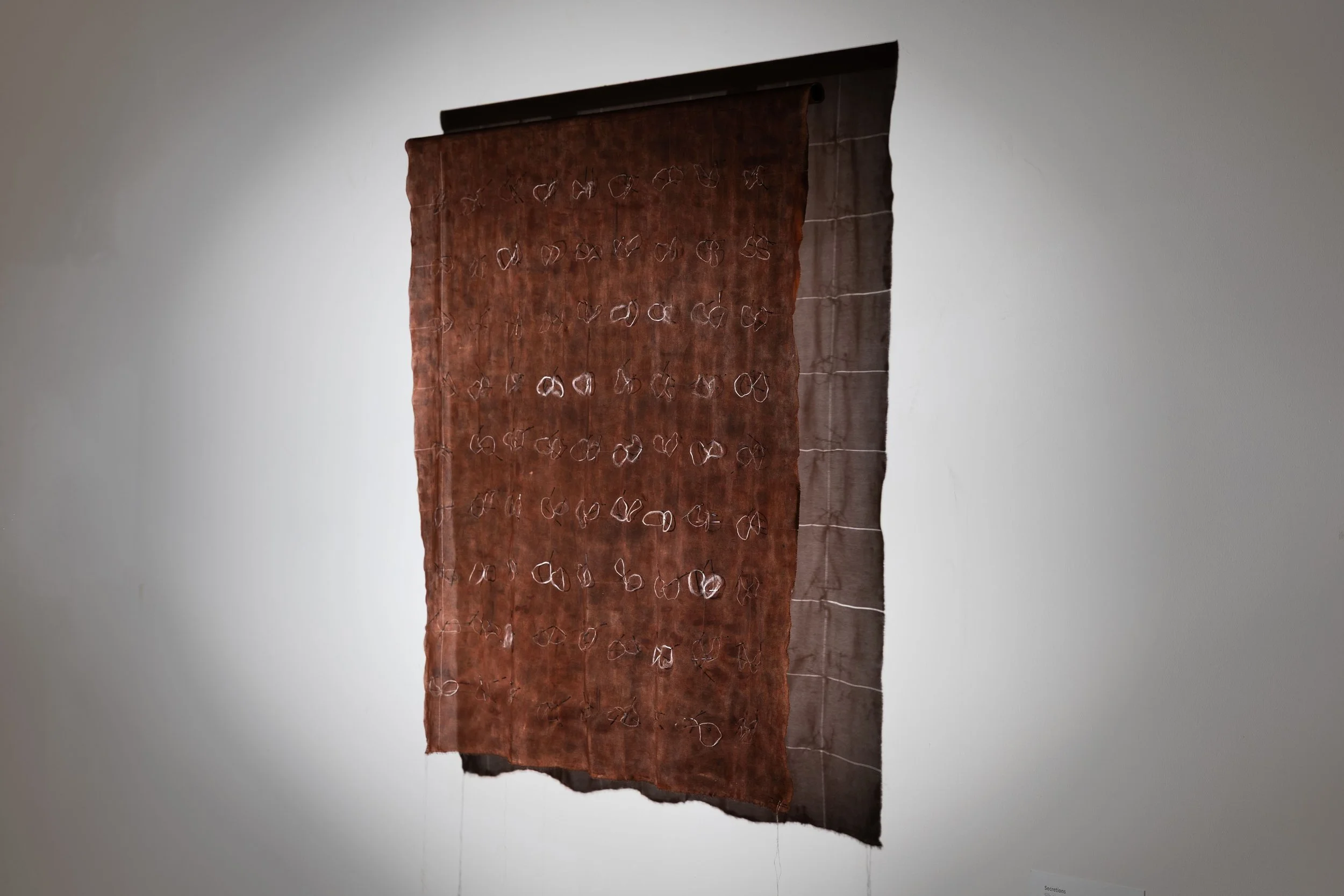 'Secretions', 2025. Crepe de chine, Silk Filament, Pigment, Oxidised Steel Pins. 73 x 73 cm. 
Presented as part of 'RCA Research Biennale', London. 
Photography: Joseph Hall.
