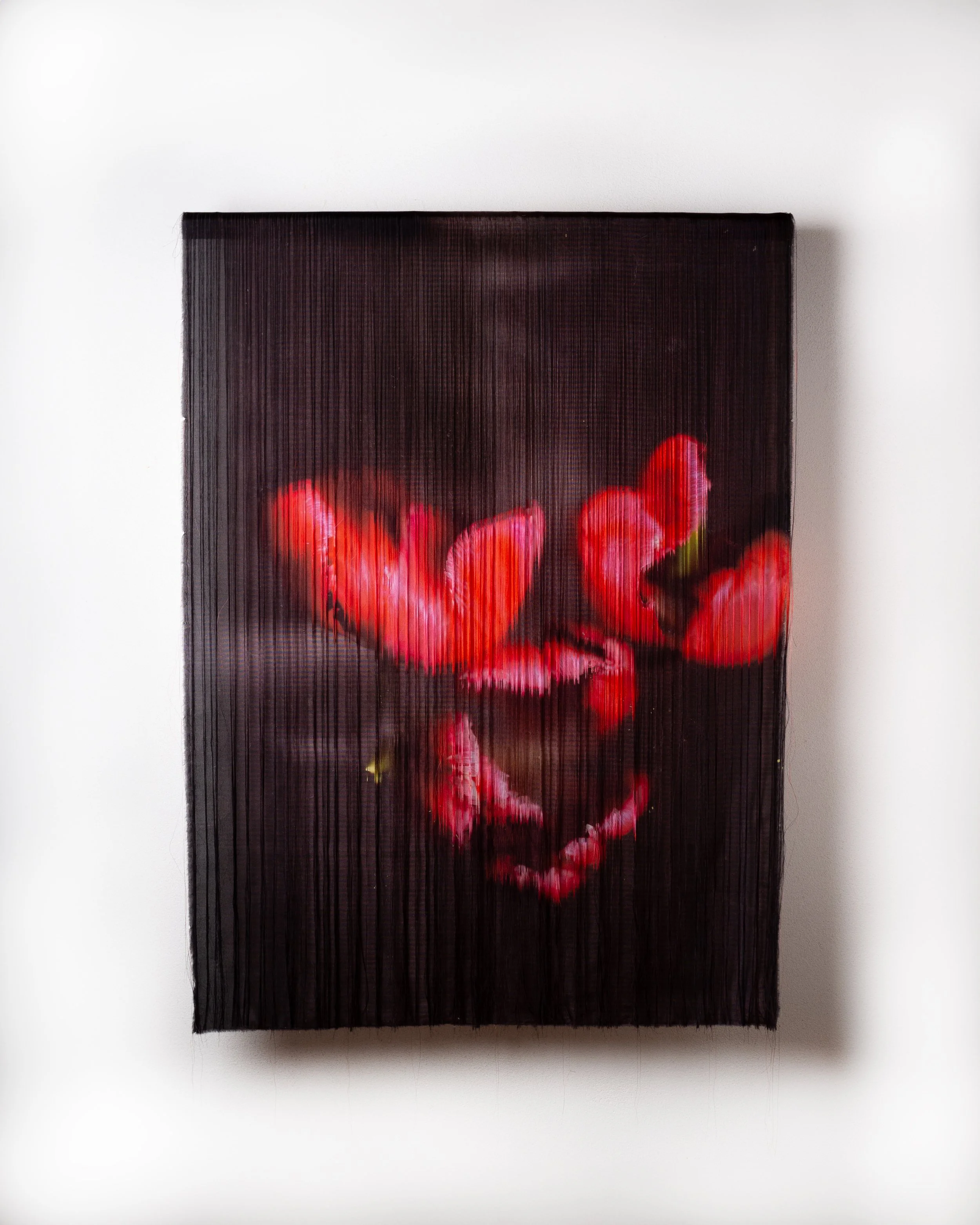 'The Universe Gathers Around the Dreams of Tulips', 2026. Silk, Mahogany. 92 x 66.5 x 2.8 cm.
