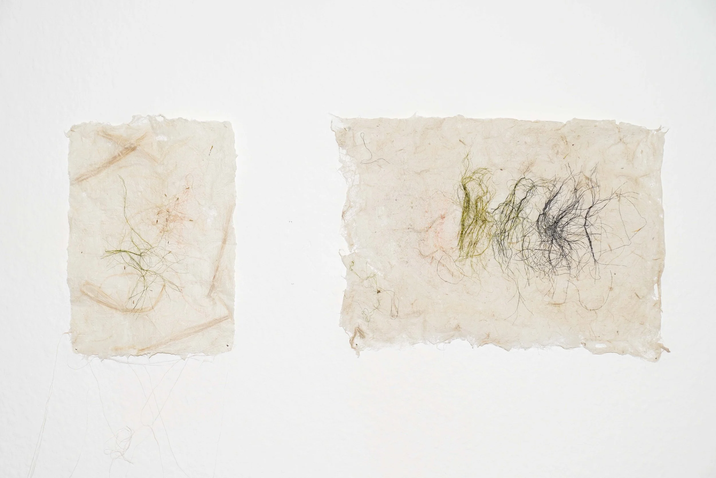 'Dandelion' (left), & 'Rhythm' (right), 2023. Silk, kozo, silver. Dimensions variable. Supported by Statens Kunstfond and presented as part of 'Manoeuvring Fibres' at Bladr, Copenhagen. Photography: Gianmarco Pedrini. Private collection: 'Rhythm'.