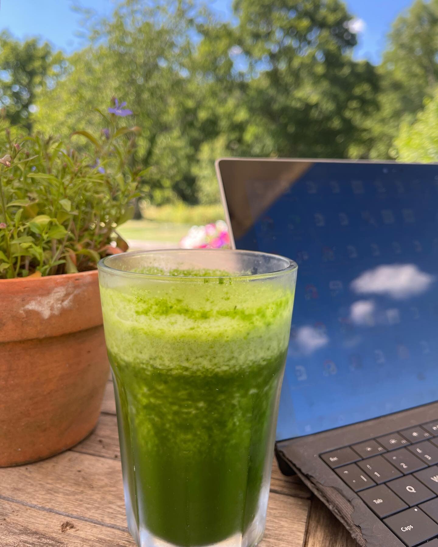 Scorchio! 😎
🌿🌿🌿
Mint, ginger, cucumber, spinach, coconut water and dash of apple juice for a little sweetness.
🥒 🥒🥒
I used to neck ice cold cans of Diet Coke in the summer, but an ice cold green juice hits the spot these days. Still partial to