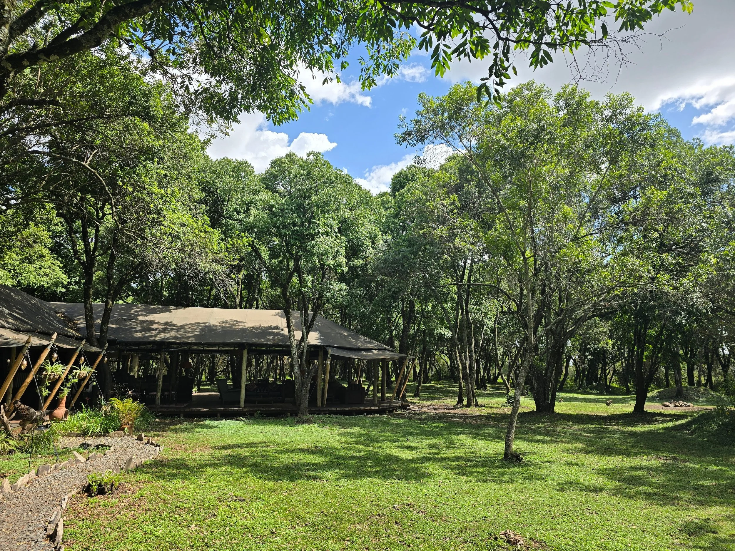 Masai Mara luxury camp.jpg