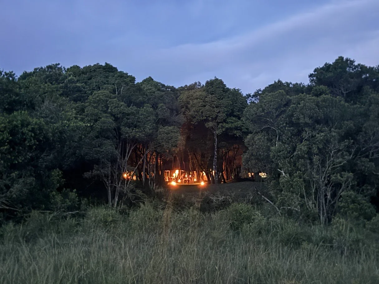 Why staying inside the Maasai Mara Reserve matters