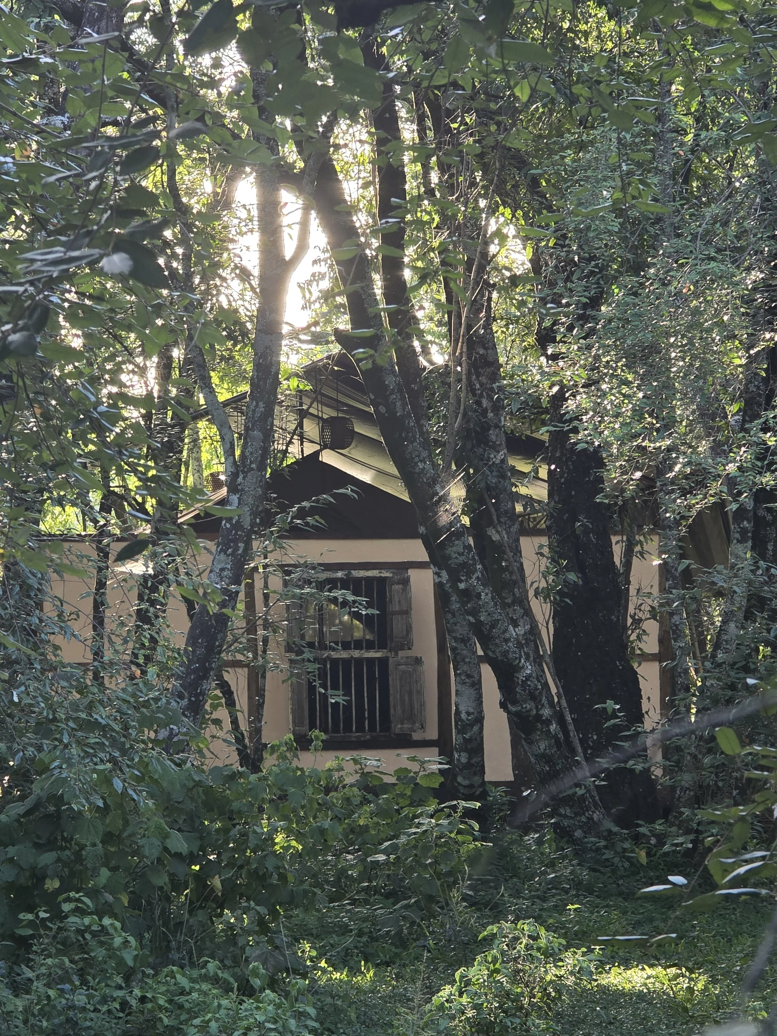 ideal safari camp maasai mara.jpg