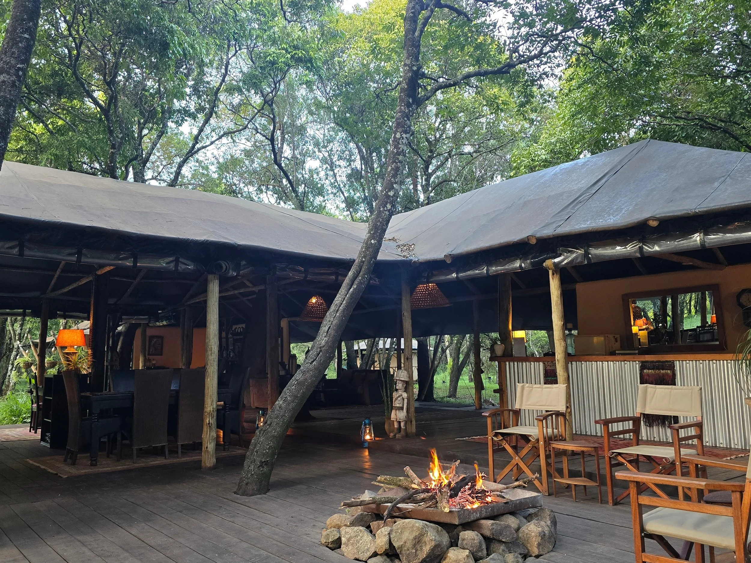 Mara Safari Kenya.jpg