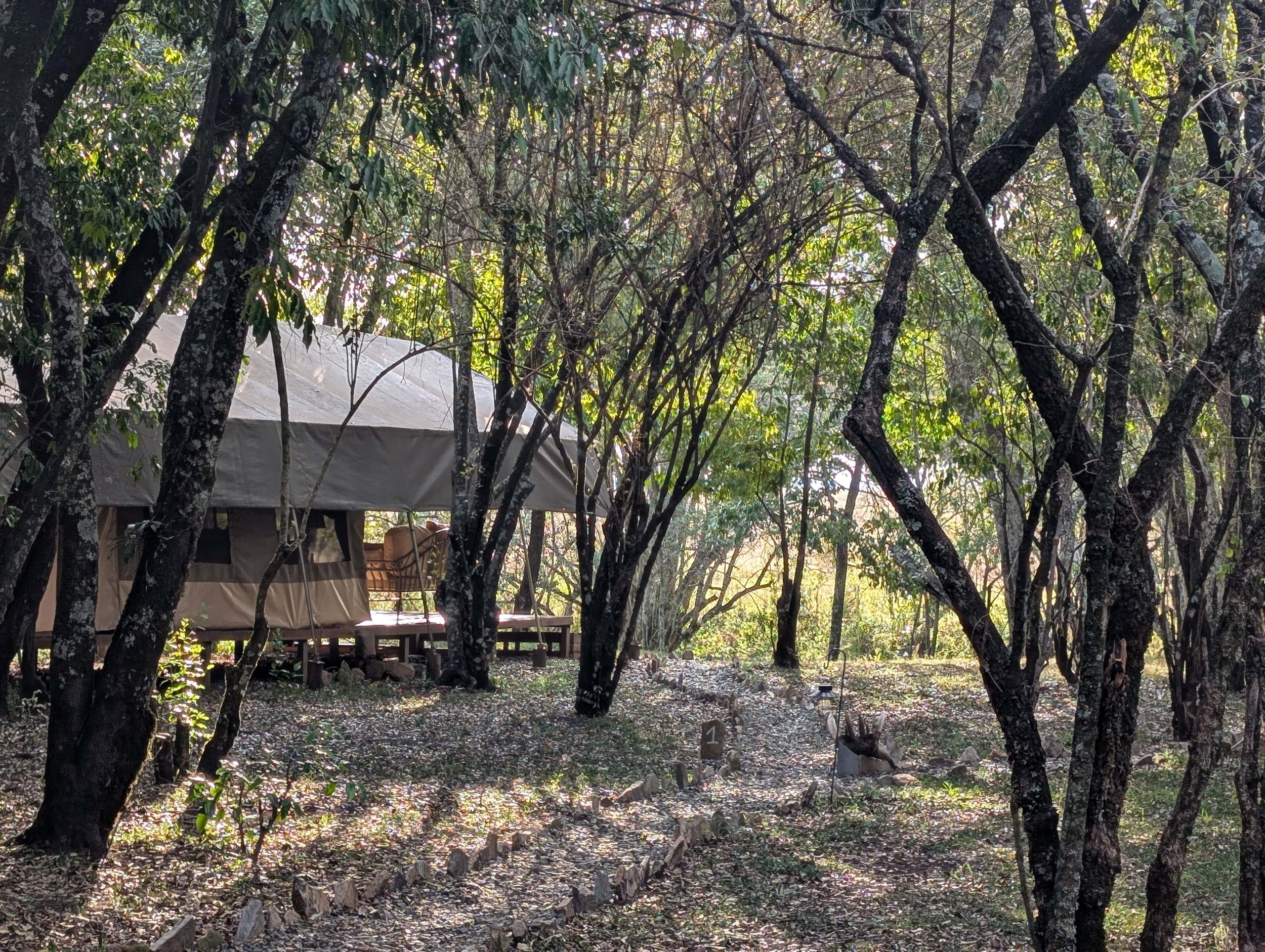 KENYA SAFARI CAMP.jpg