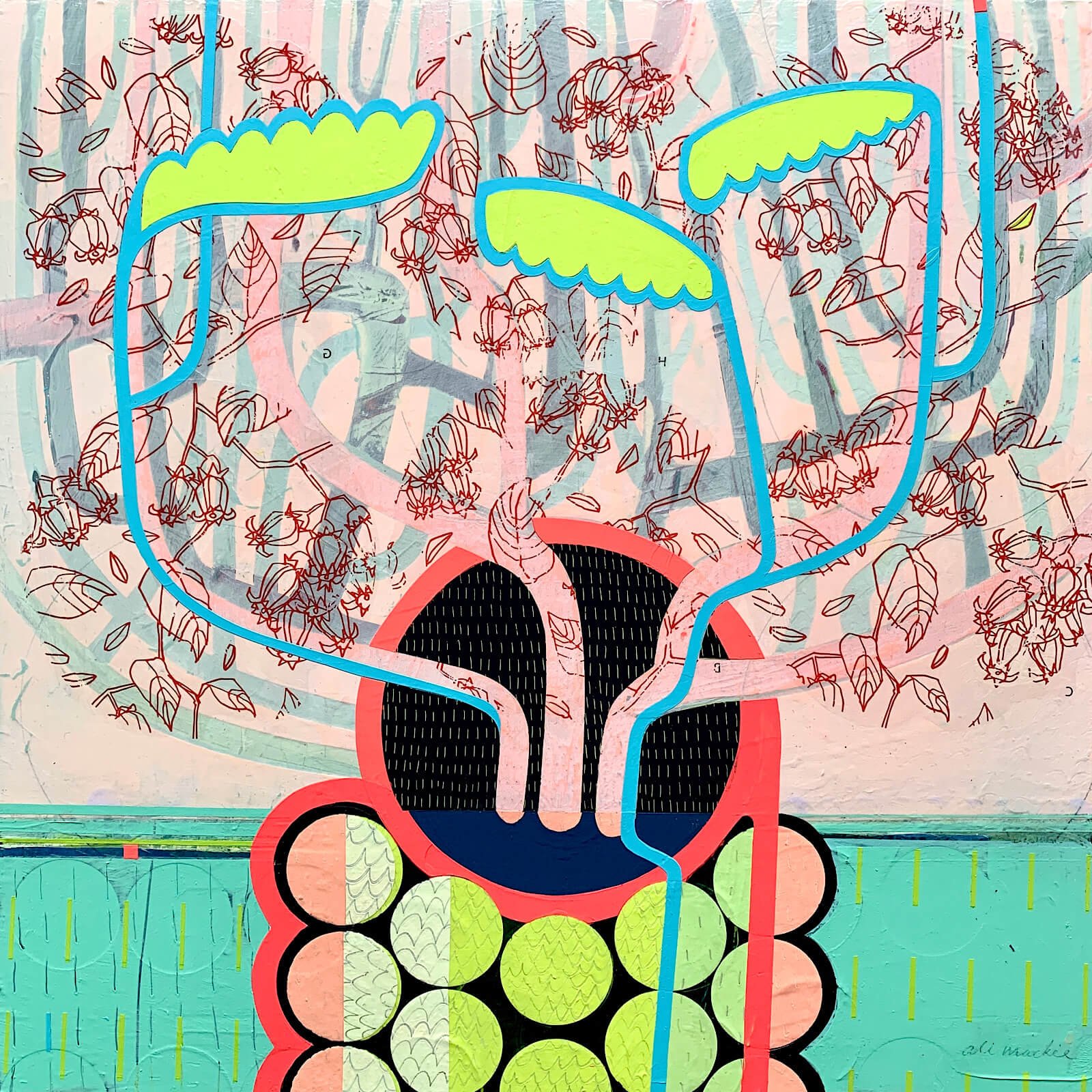 Kalanchoes